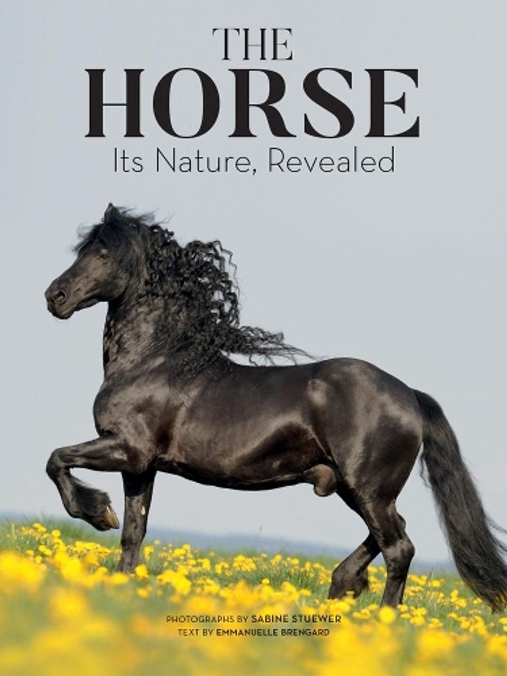 The Horse by Emmanuelle Brengard - ISBN: 9781770859593