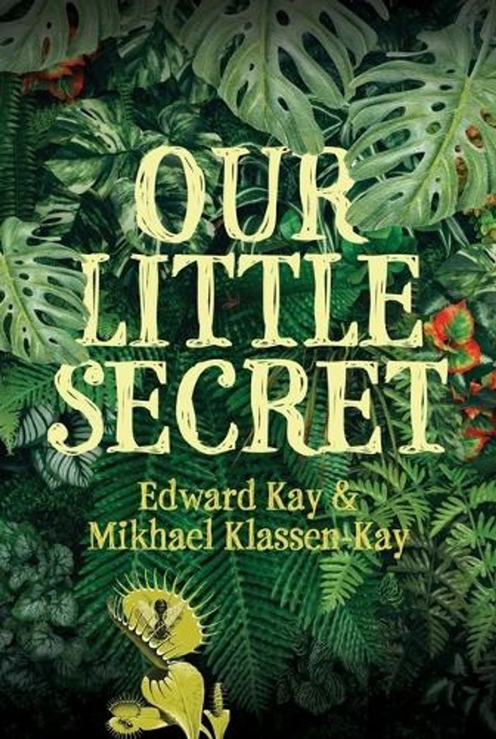 Our Little Secret by Edward Kay - ISBN: 9781770868366