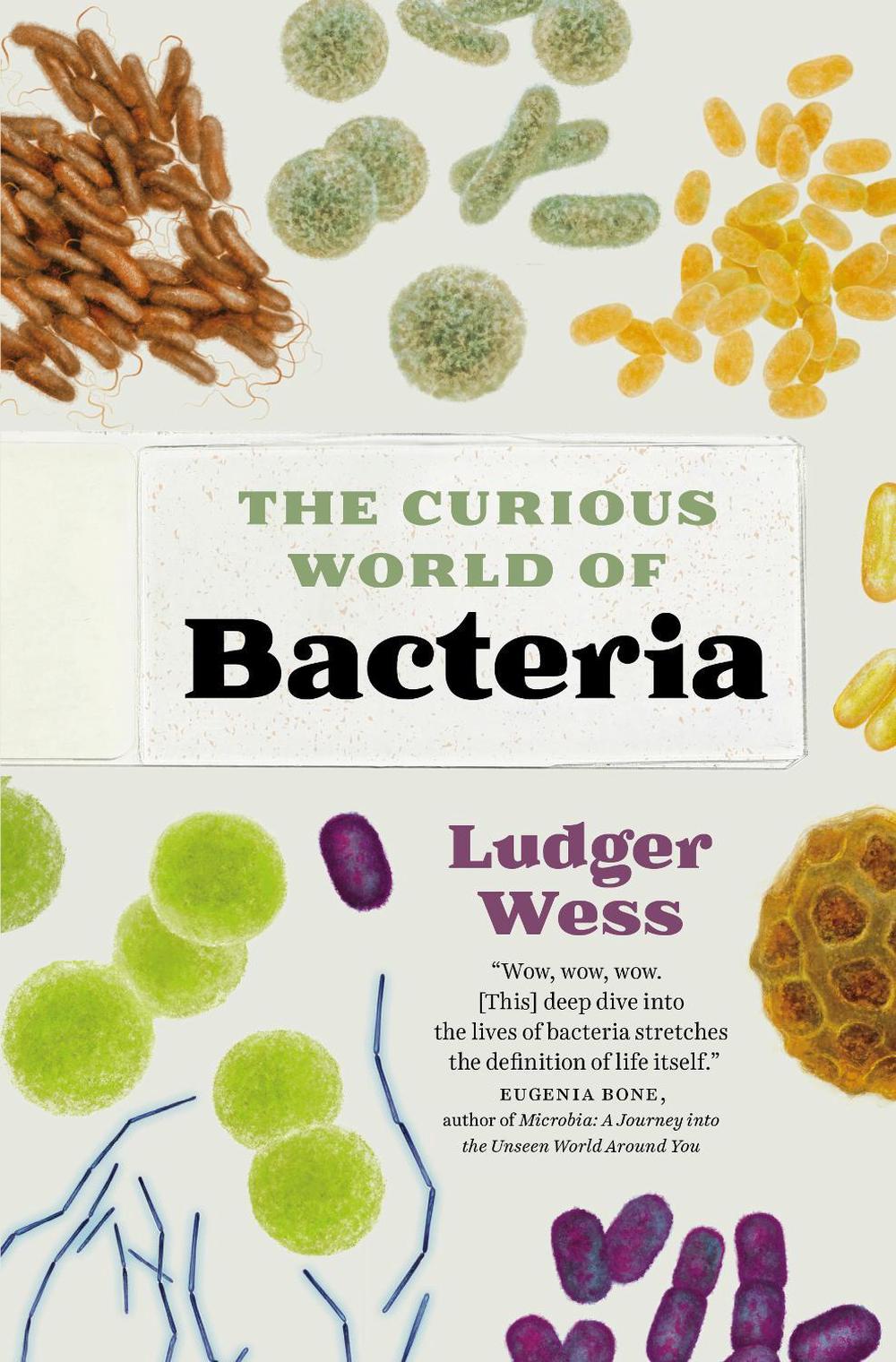 The Curious World of Bacteria by Ludger Wess - ISBN: 9781771648257