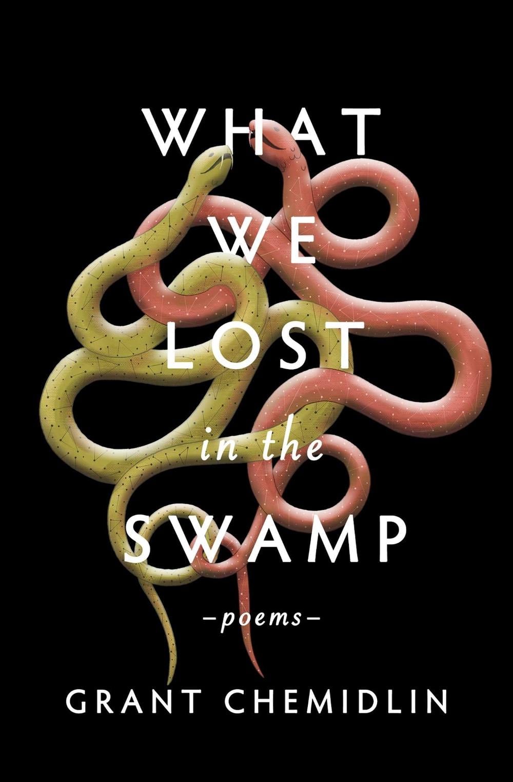 What We Lost in the Swamp by Grant Chemidlin - ISBN: 9781771682893