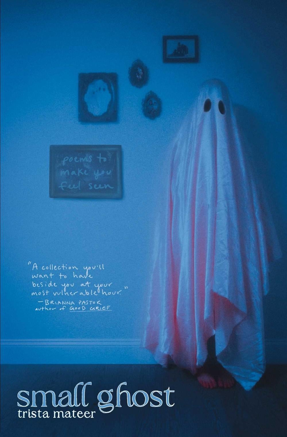 Small Ghost by Trista Mateer - ISBN: 9781771683869