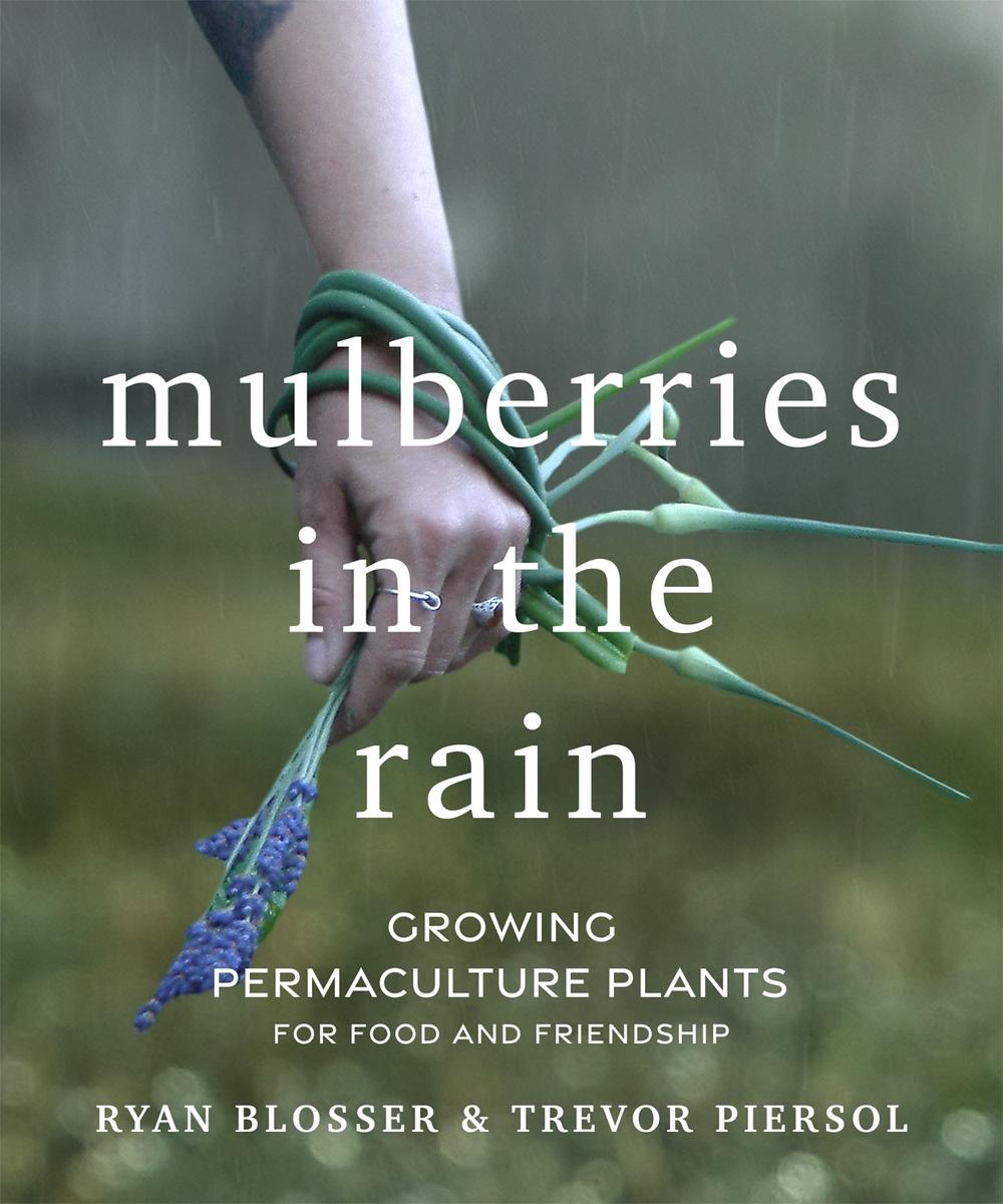Mulberries in the Rain, 9781774060032
