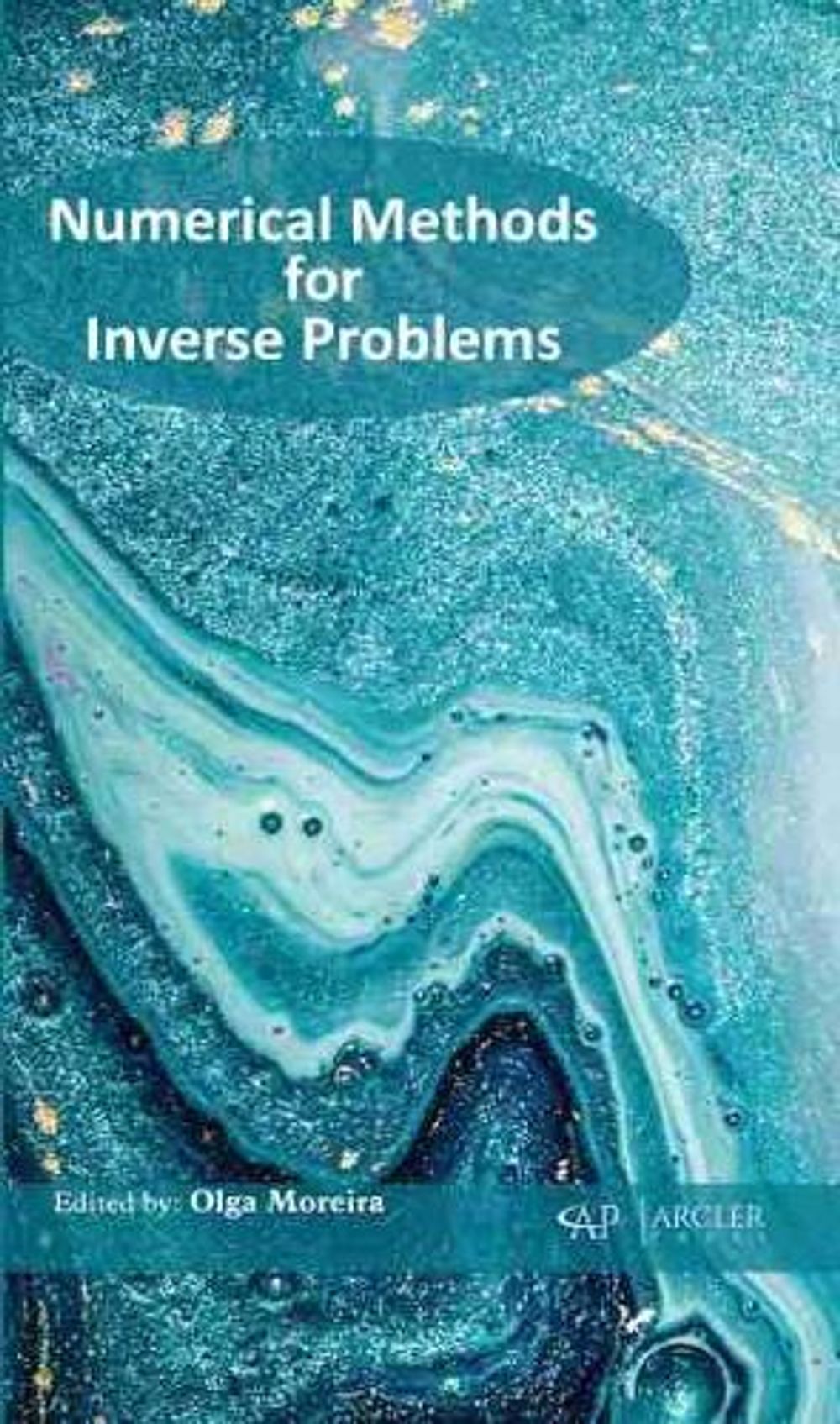 Numerical Methods for Inverse Problems by Olga Moreira, Hardcover ...