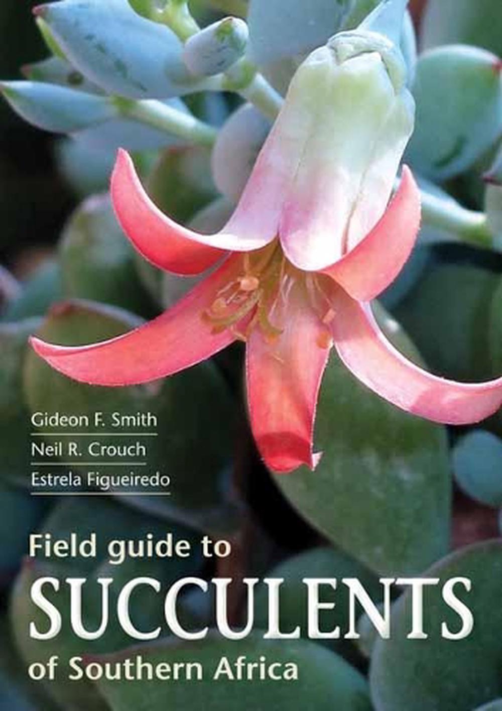 Field Guide to Succulents of Southern Africa, 9781775843672