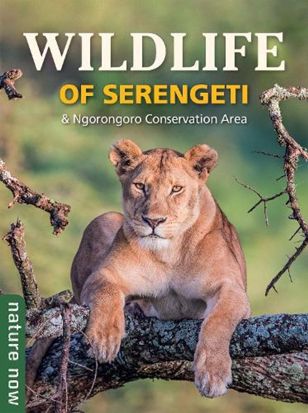 Wildlife of Serengeti & Ngorongoro Conservation Area by Rupert Watson - ISBN: 9781775848837
