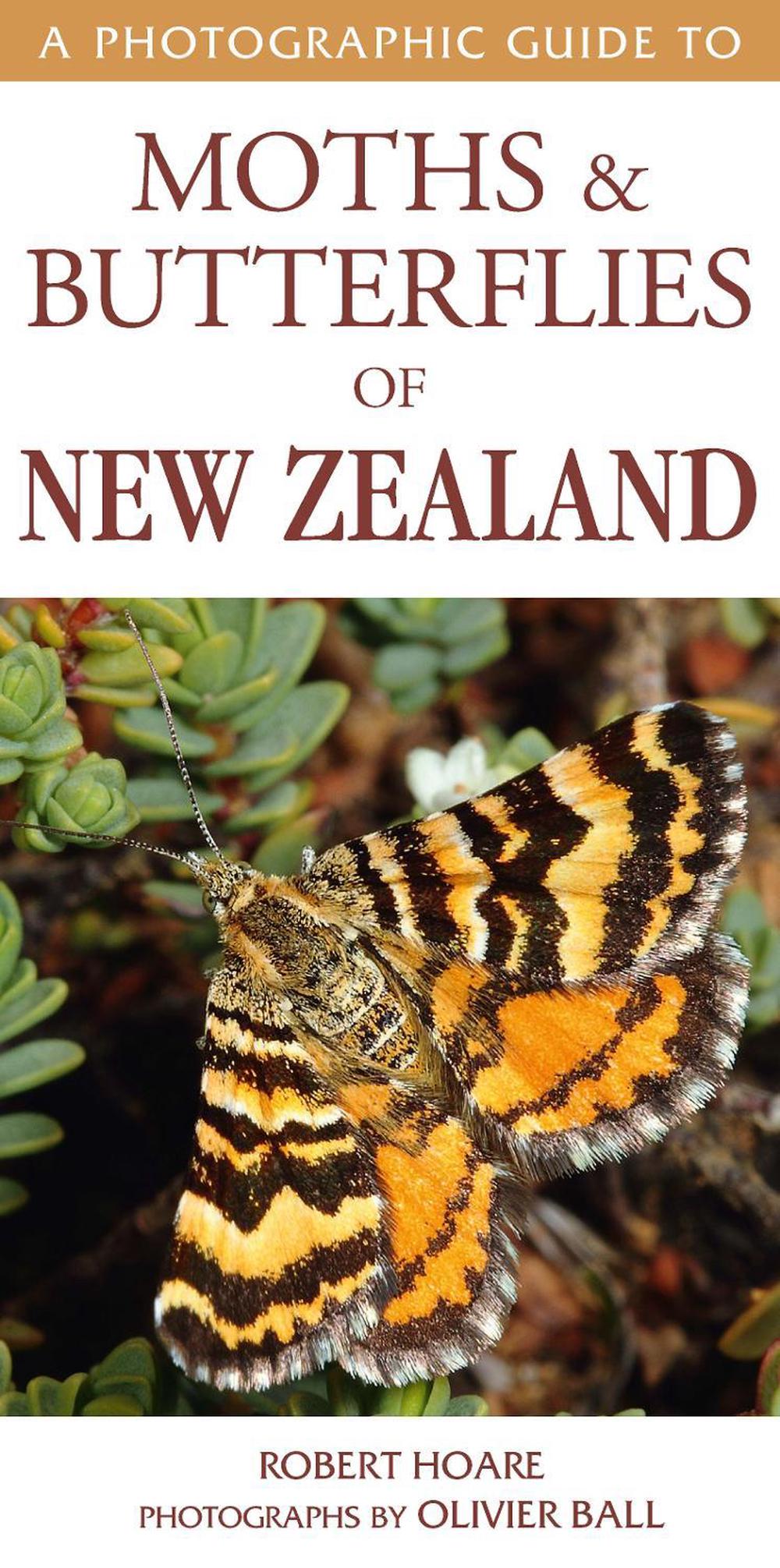 A Photographic Guide to Moths & Butterfies of New Zealand, 9781776940035