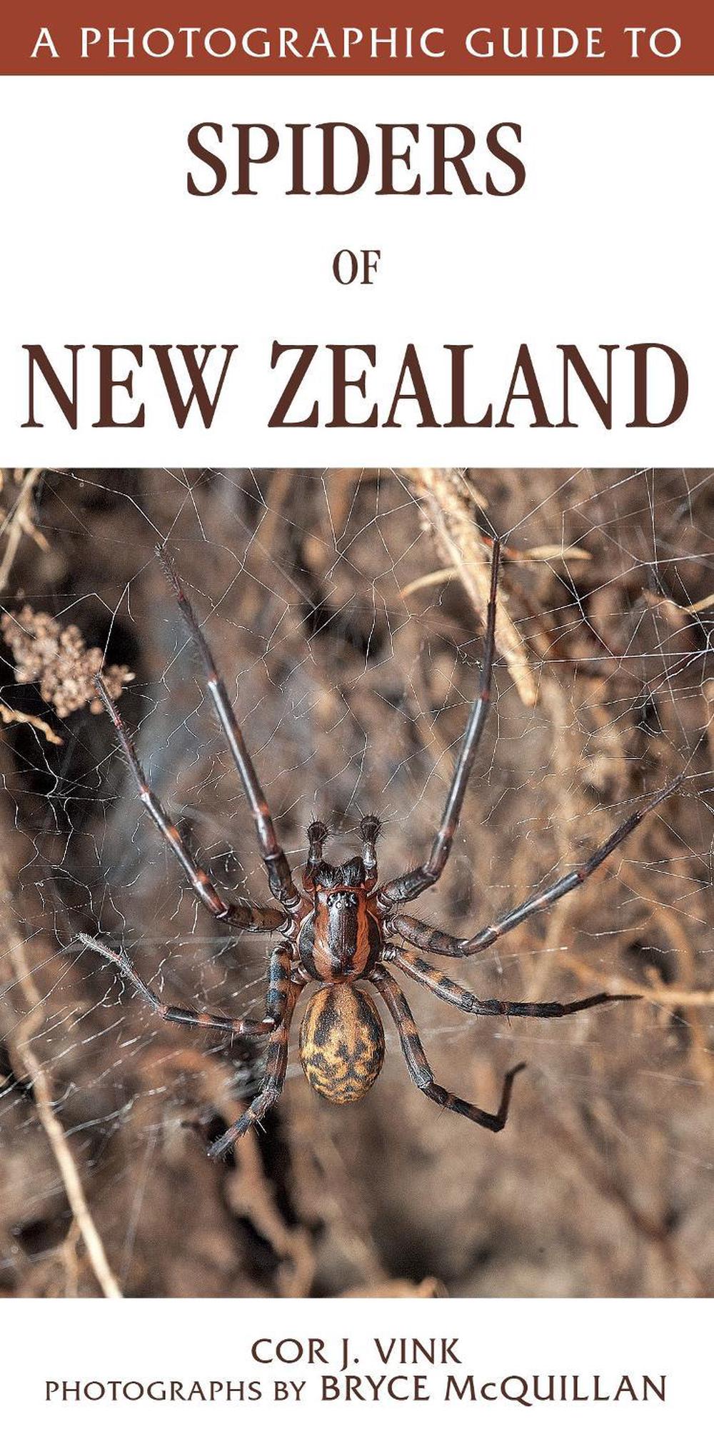 A Photographic Guide to Spiders of New Zealand, 9781776940417
