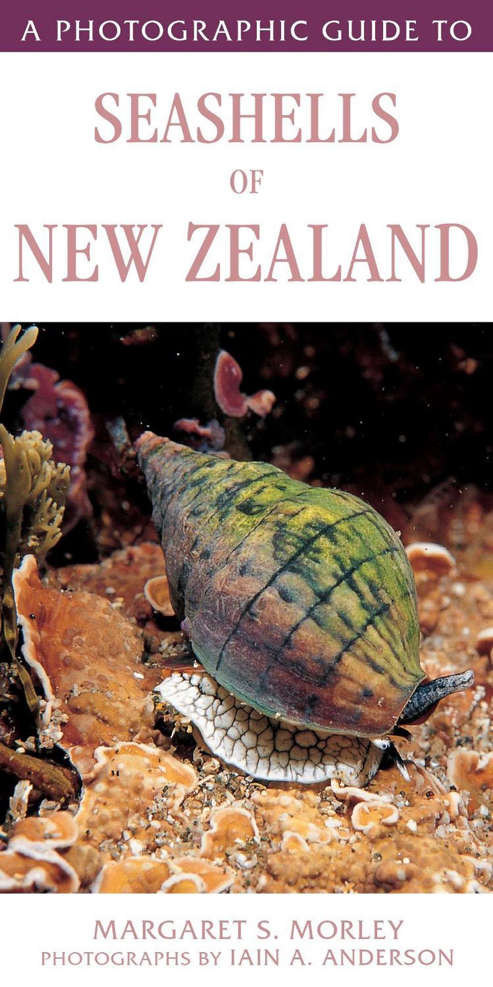 A Photographic Guide to Seashells of New Zealand, 9781776940530