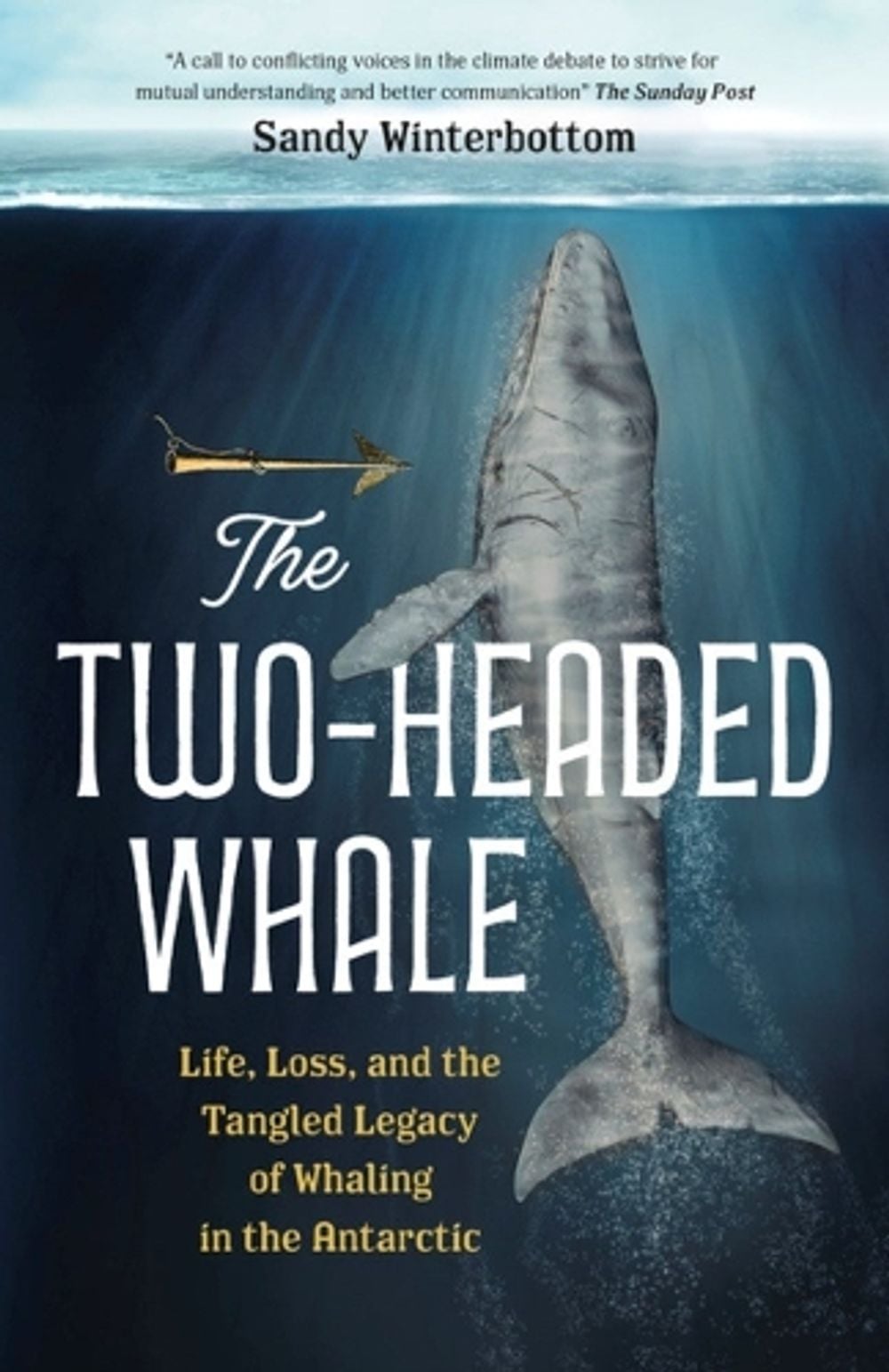 The Two-Headed Whale by Sandy Winterbottom - ISBN: 9781778401732