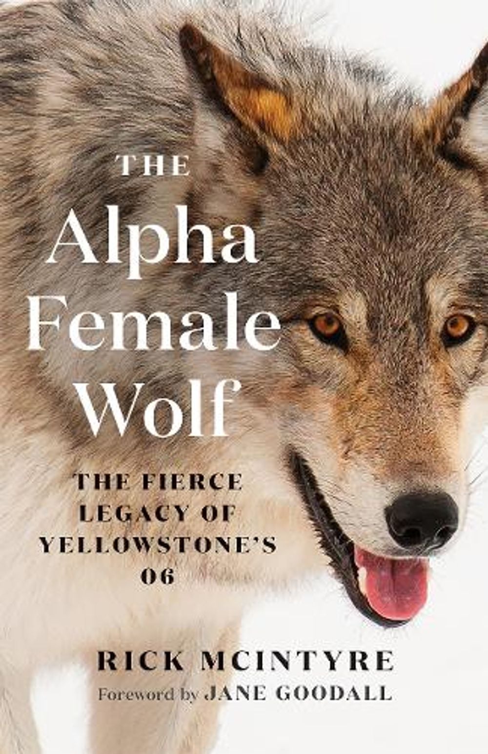 The Alpha Female Wolf by Rick McIntyre - ISBN: 9781778401770