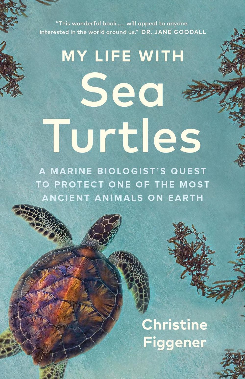 My Life with Sea Turtles by Christine Figgener - ISBN: 9781778402890