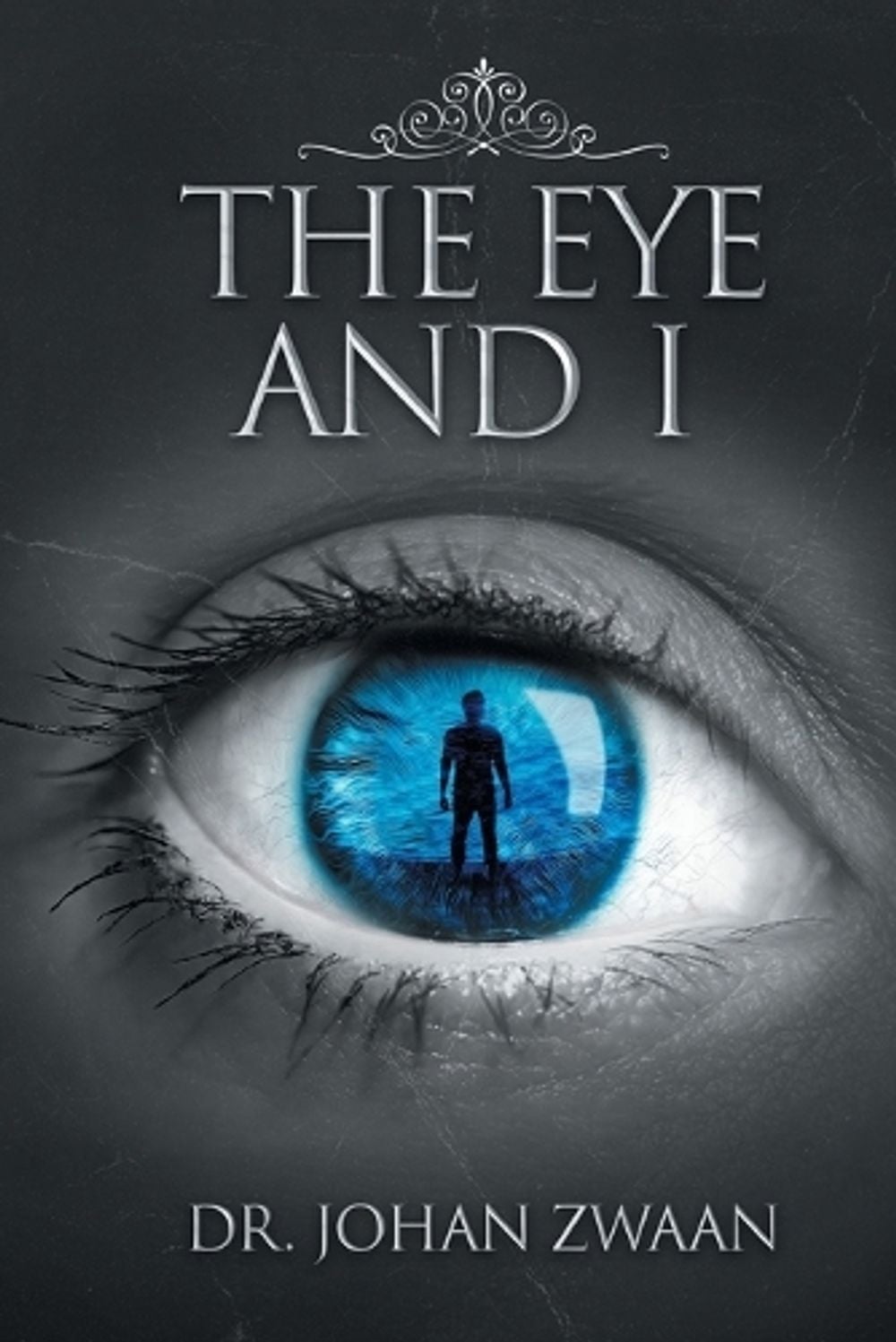 The Eye and I by Dr Johan Zwaan - ISBN: 9781778830853
