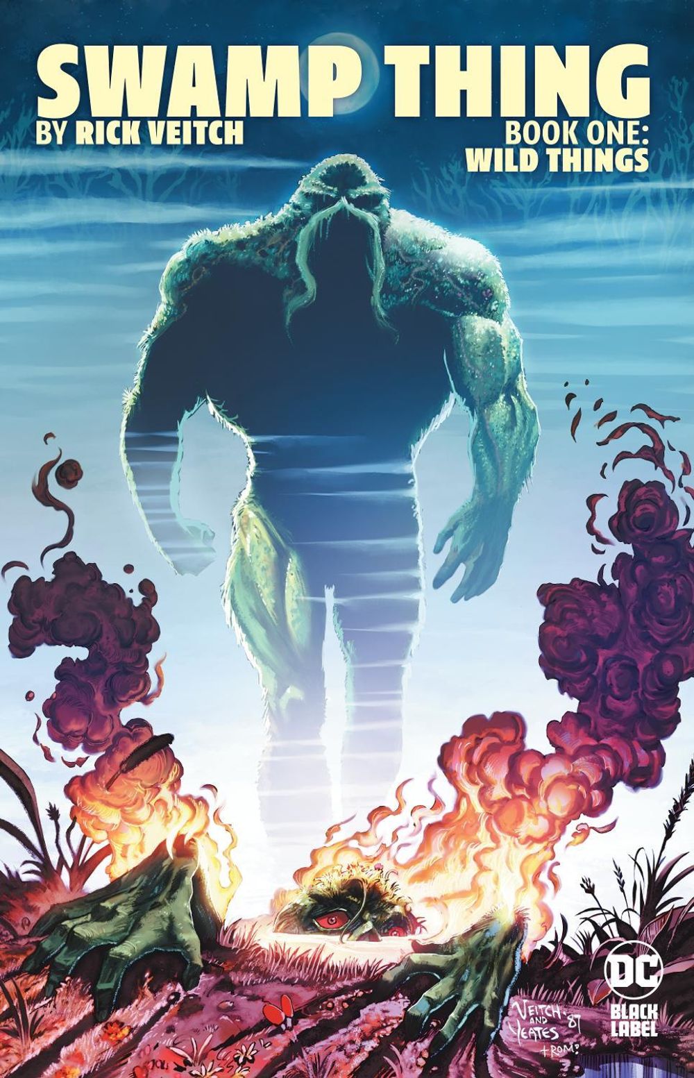 Swamp Thing by Rick Veitch Book One: Wild Things by Rick Veitch - ISBN: 9781779528117