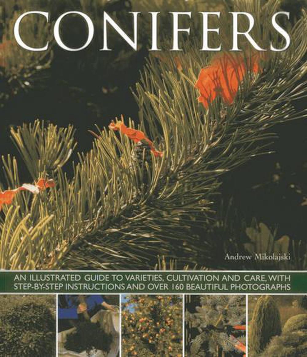 Conifers, 9781780192635