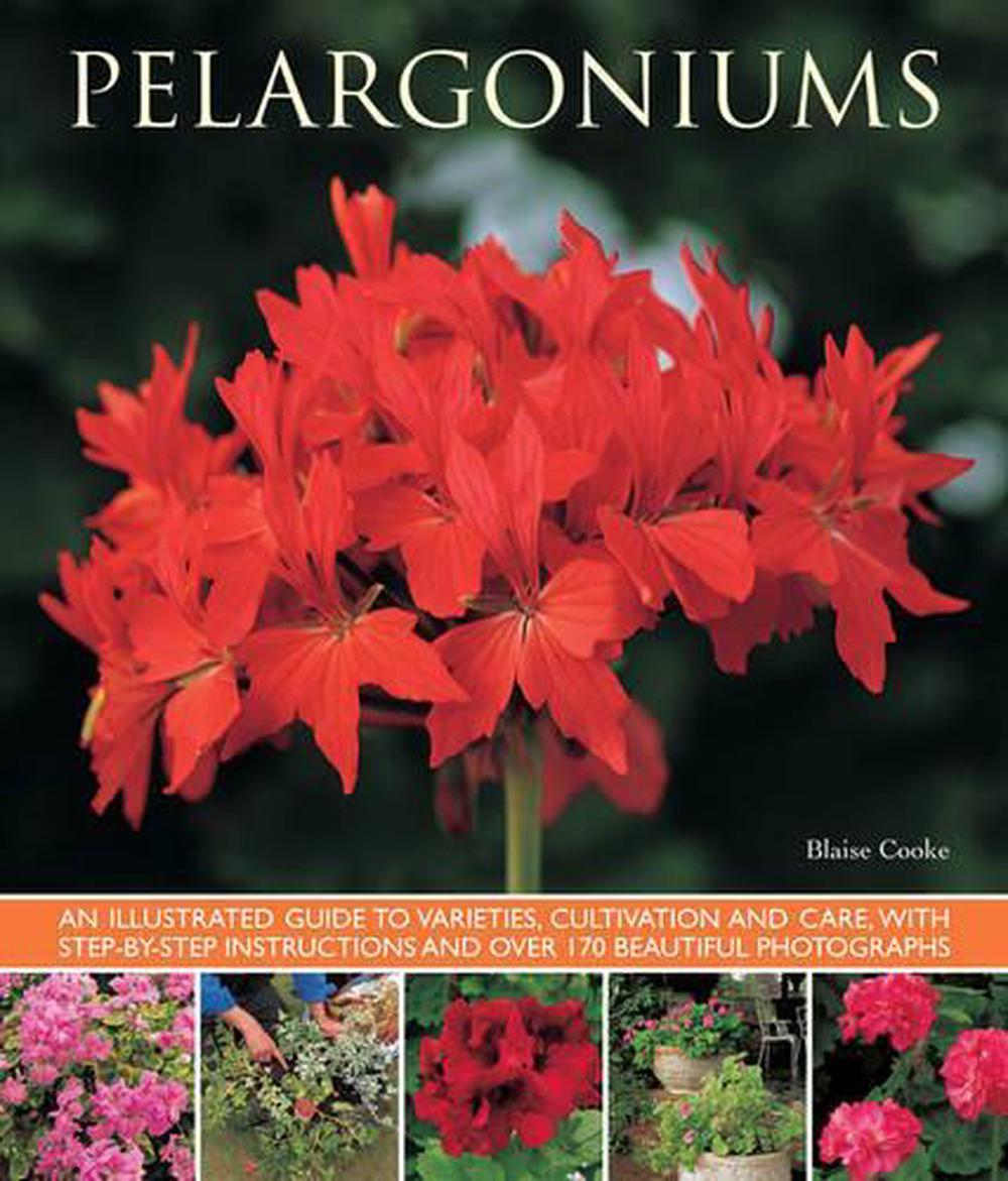 Pelargoniums, 9781780192734