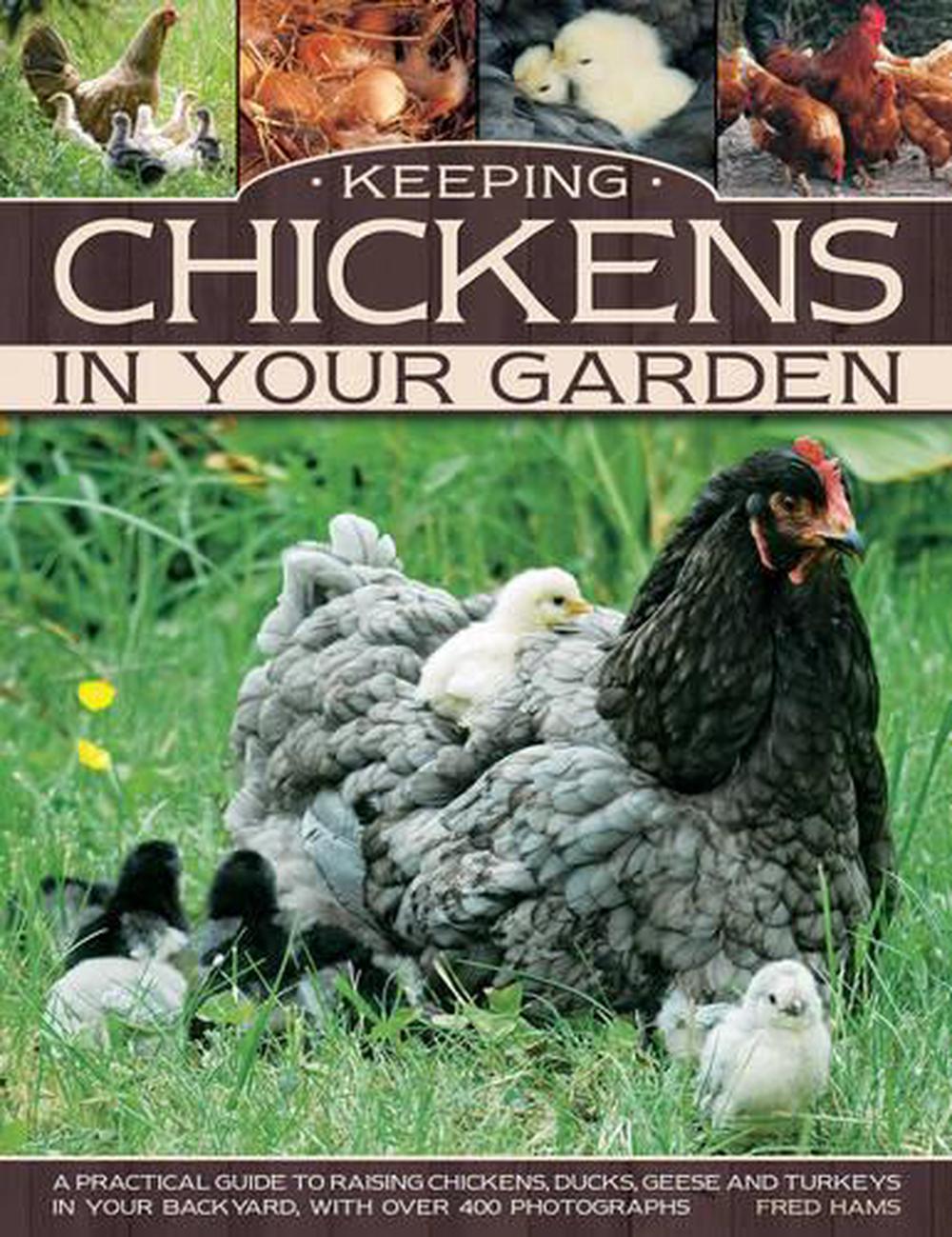 Keeping chickens in your garden by Fred Hams, 9781780193090 Buy