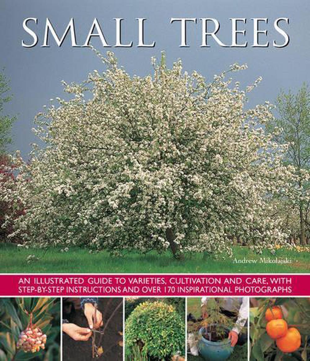 Small Trees, 9781780193212
