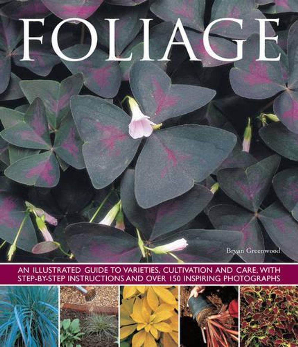 Foliage by Greenwood Bryan - ISBN: 9781780193632