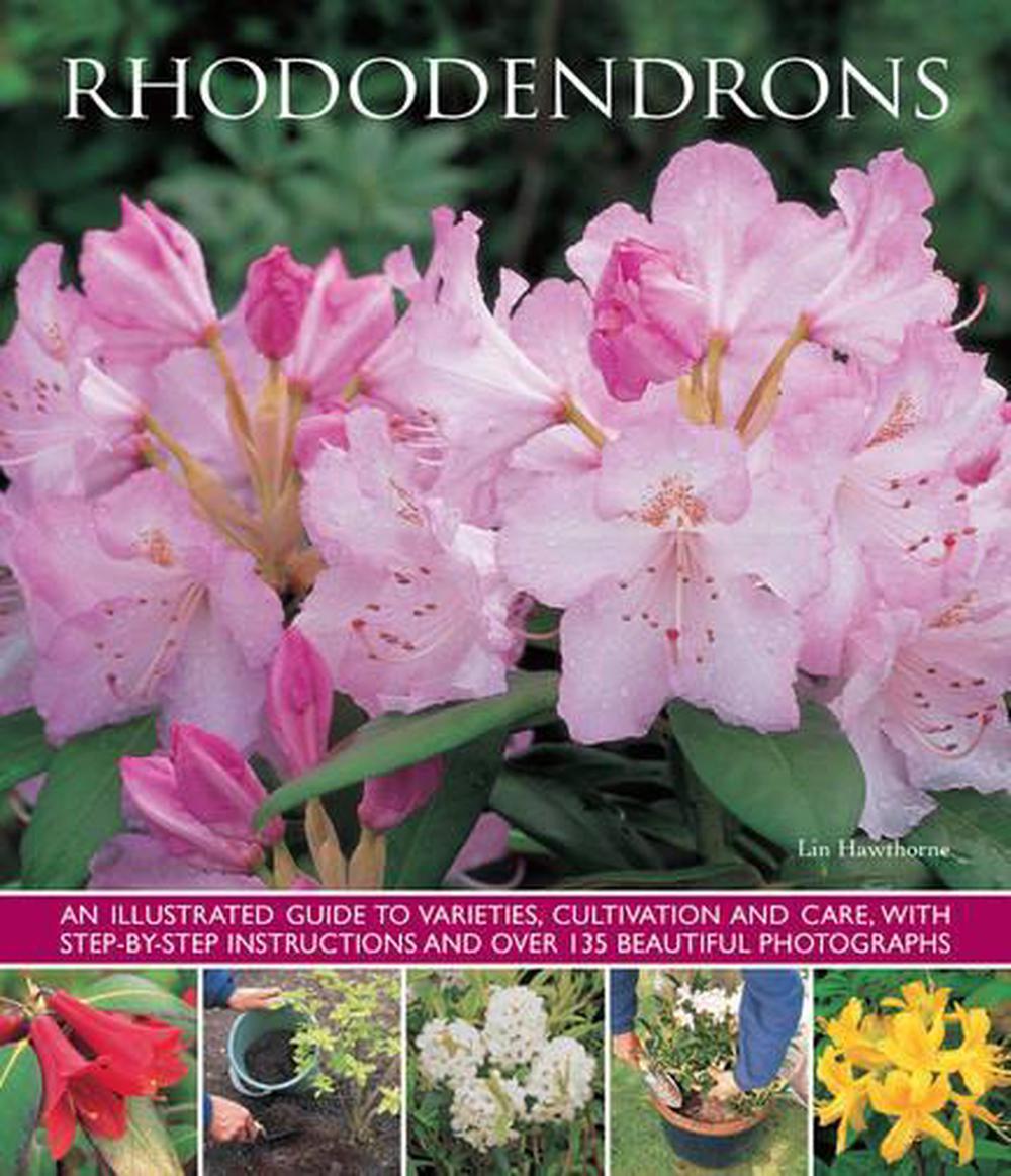 Rhododendrons, 9781780193649