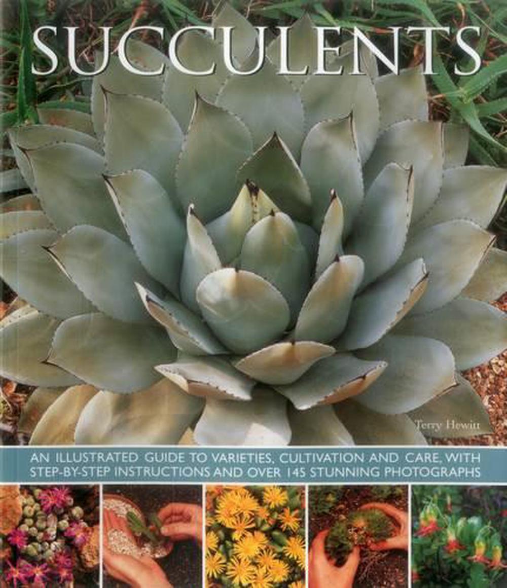 Succulents, 9781780193656