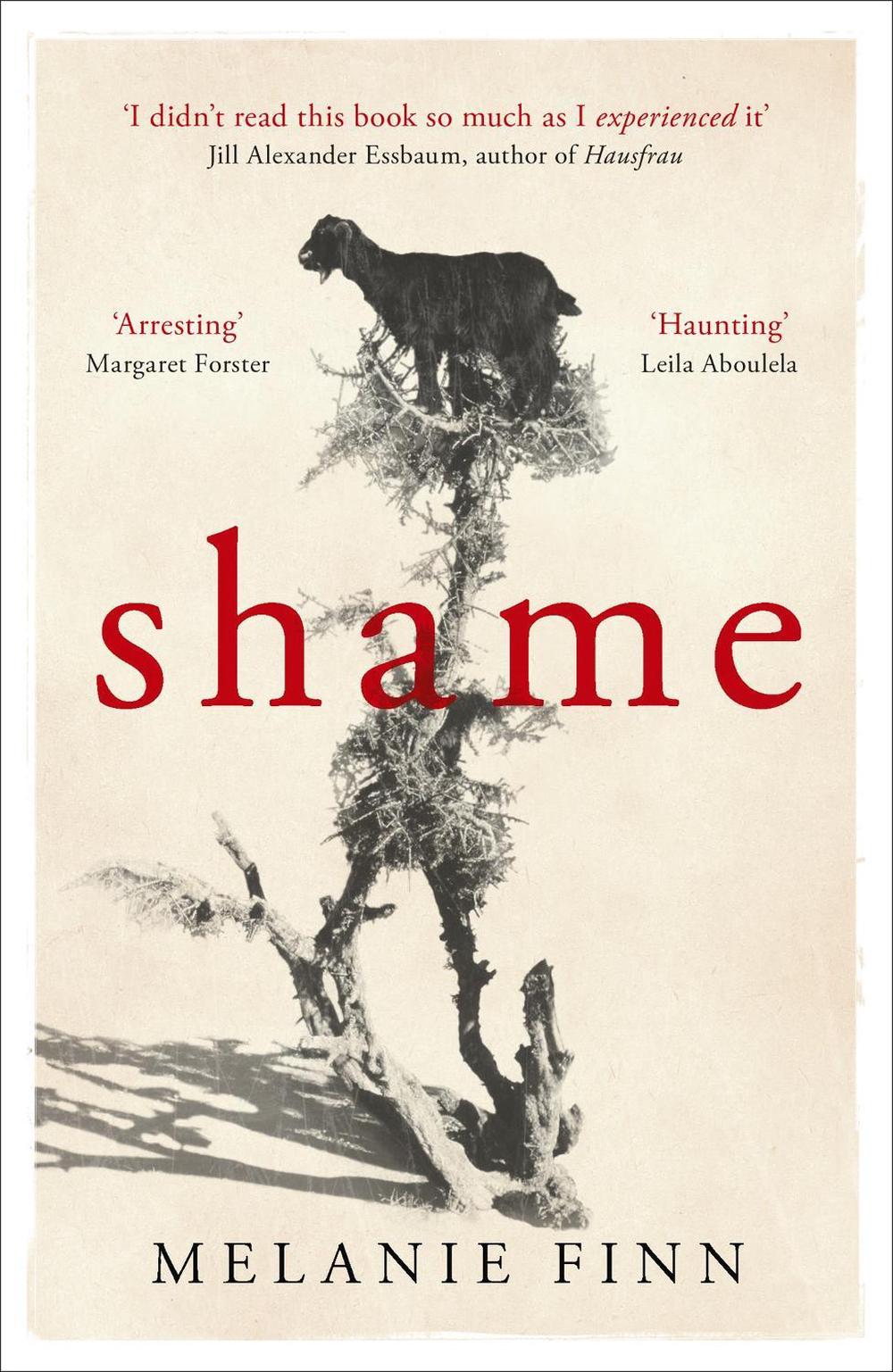 Shame by Melanie Finn - ISBN: 9781780228310