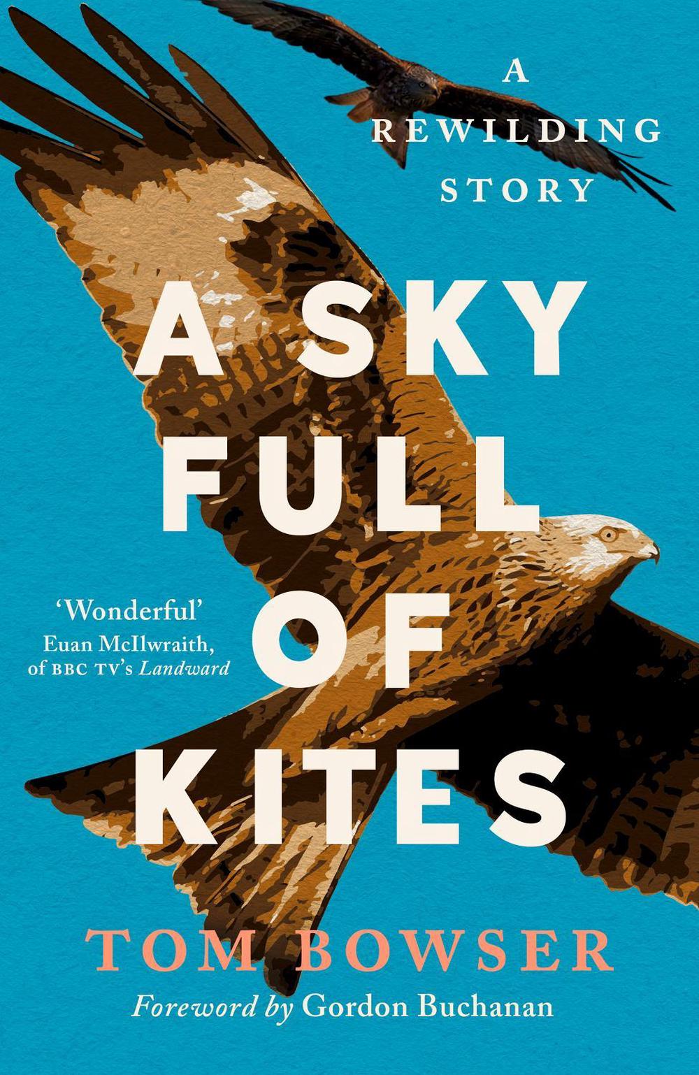 A Sky Full of Kites by Tom Bowser - ISBN: 9781780277769