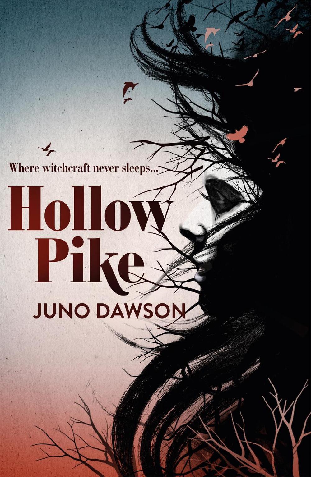 Hollow Pike by Juno Dawson - ISBN: 9781780621289