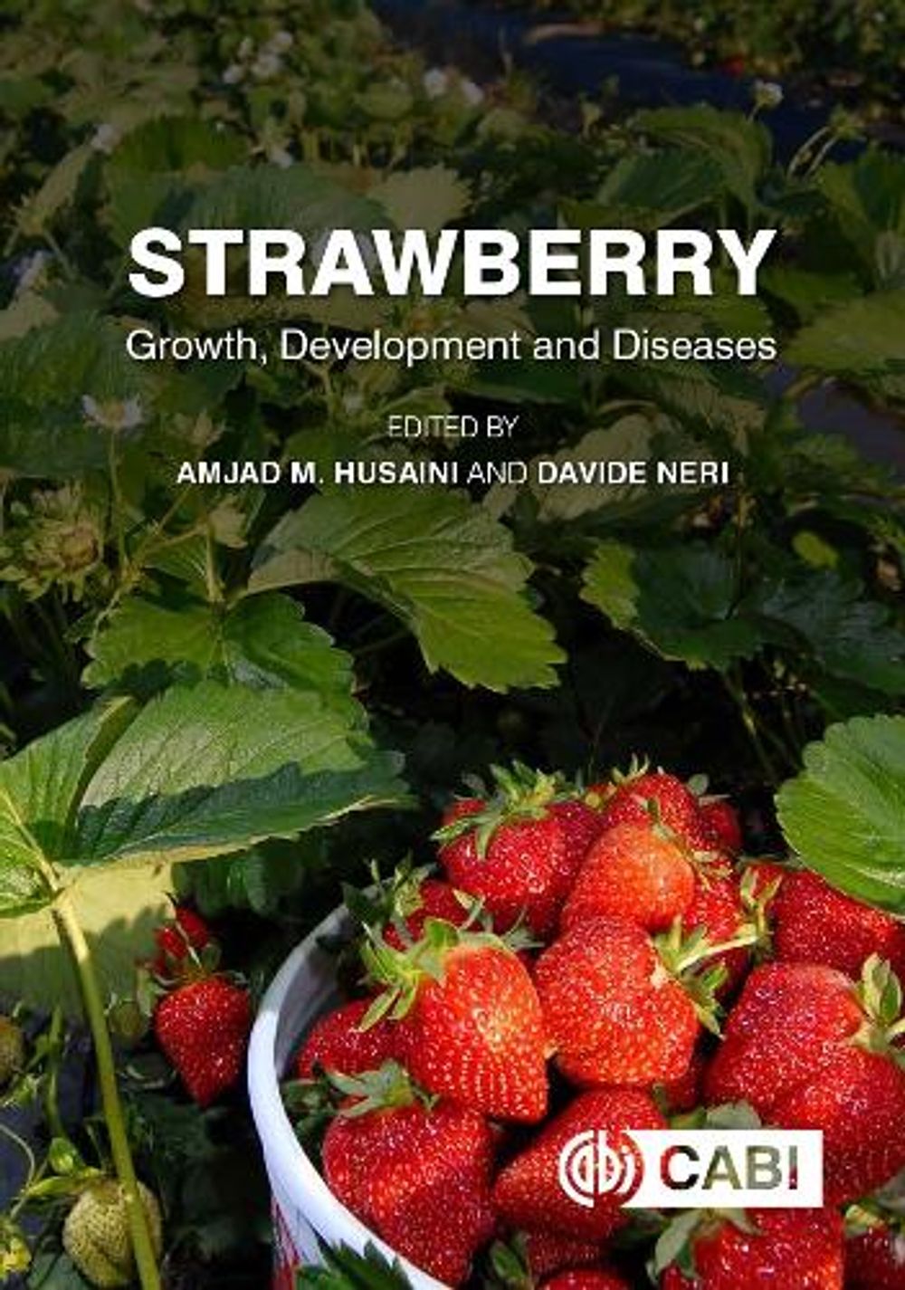 Strawberry by Dr Amjad M. Husaini - ISBN: 9781780646633