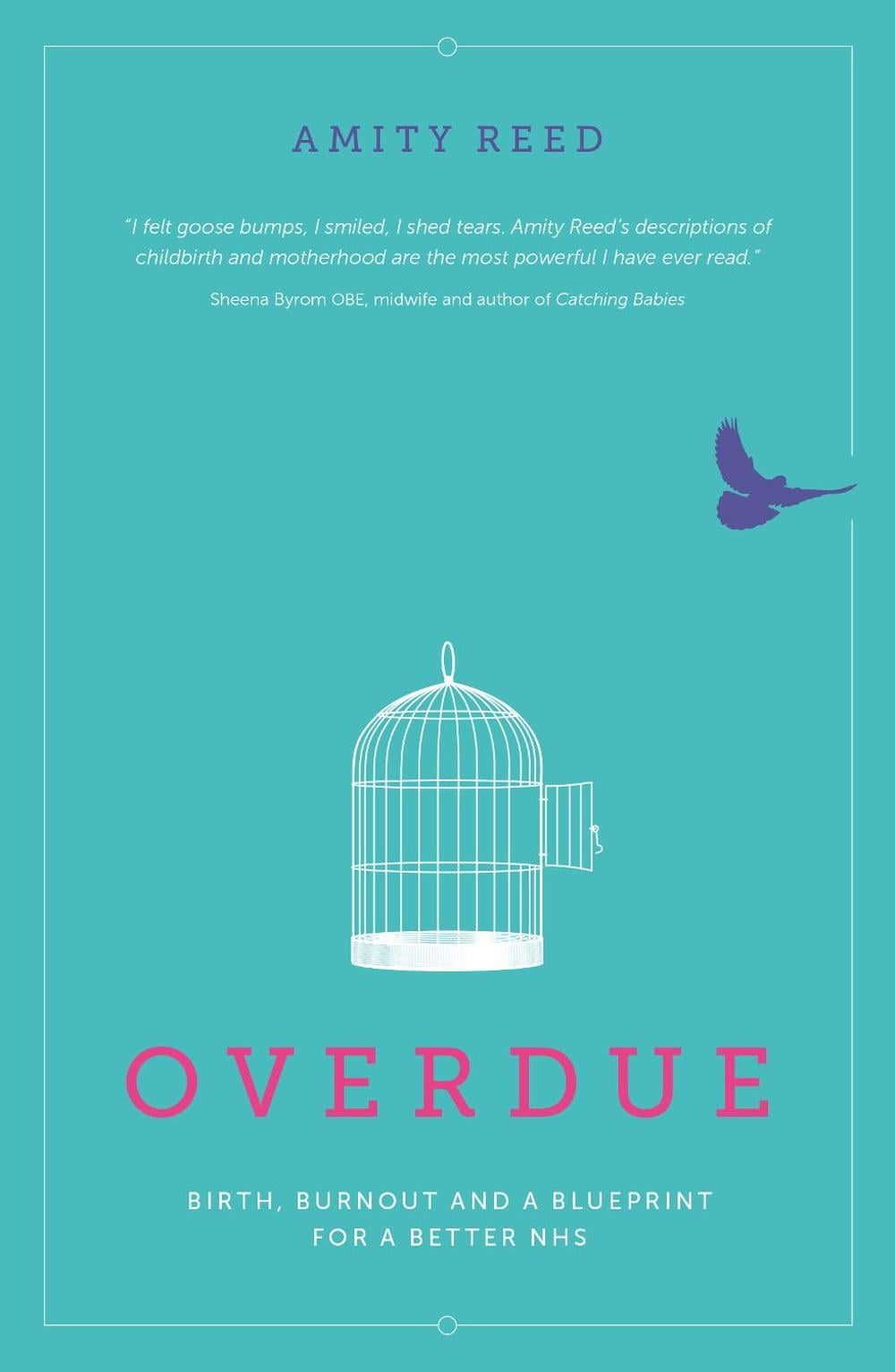 Overdue by Amity Reed - ISBN: 9781780664101