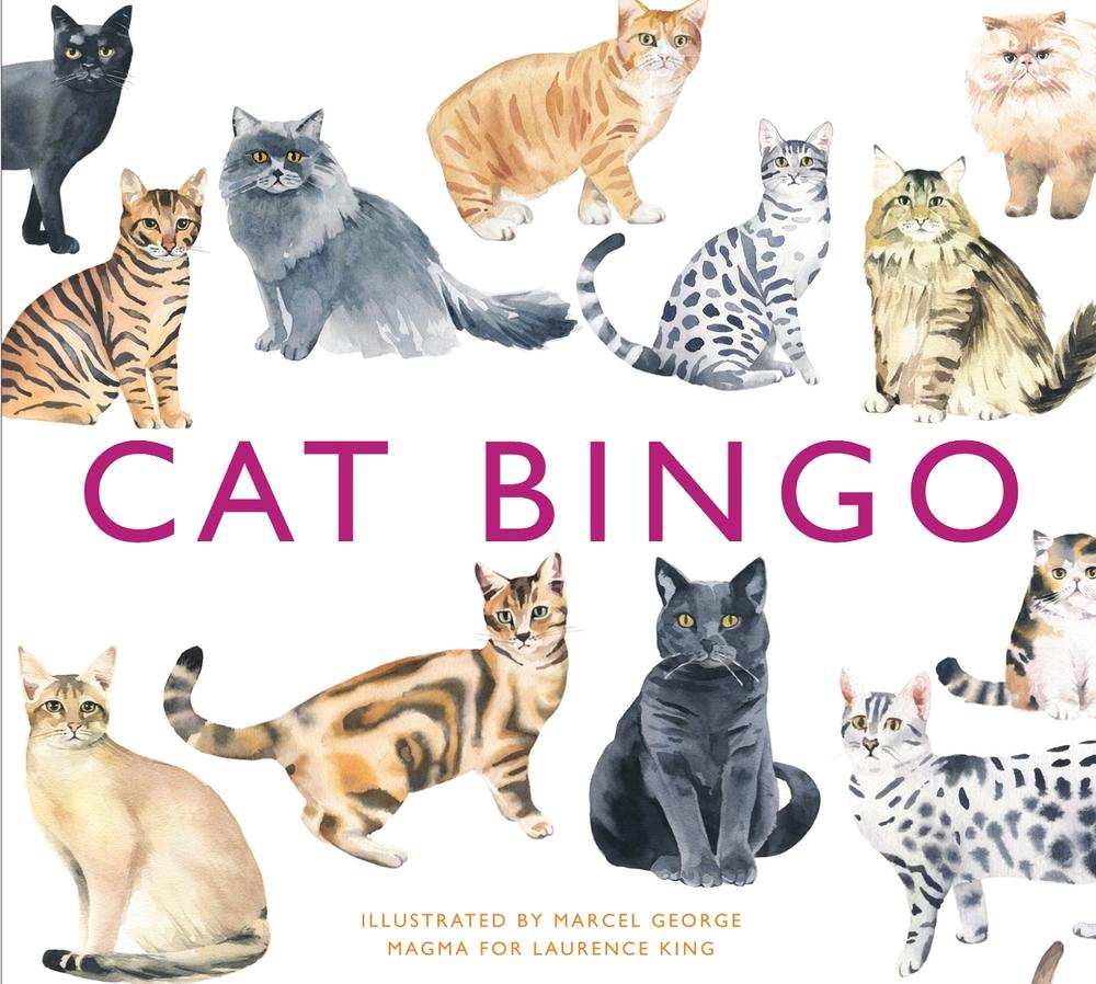 Cat Bingo, 9781780679037