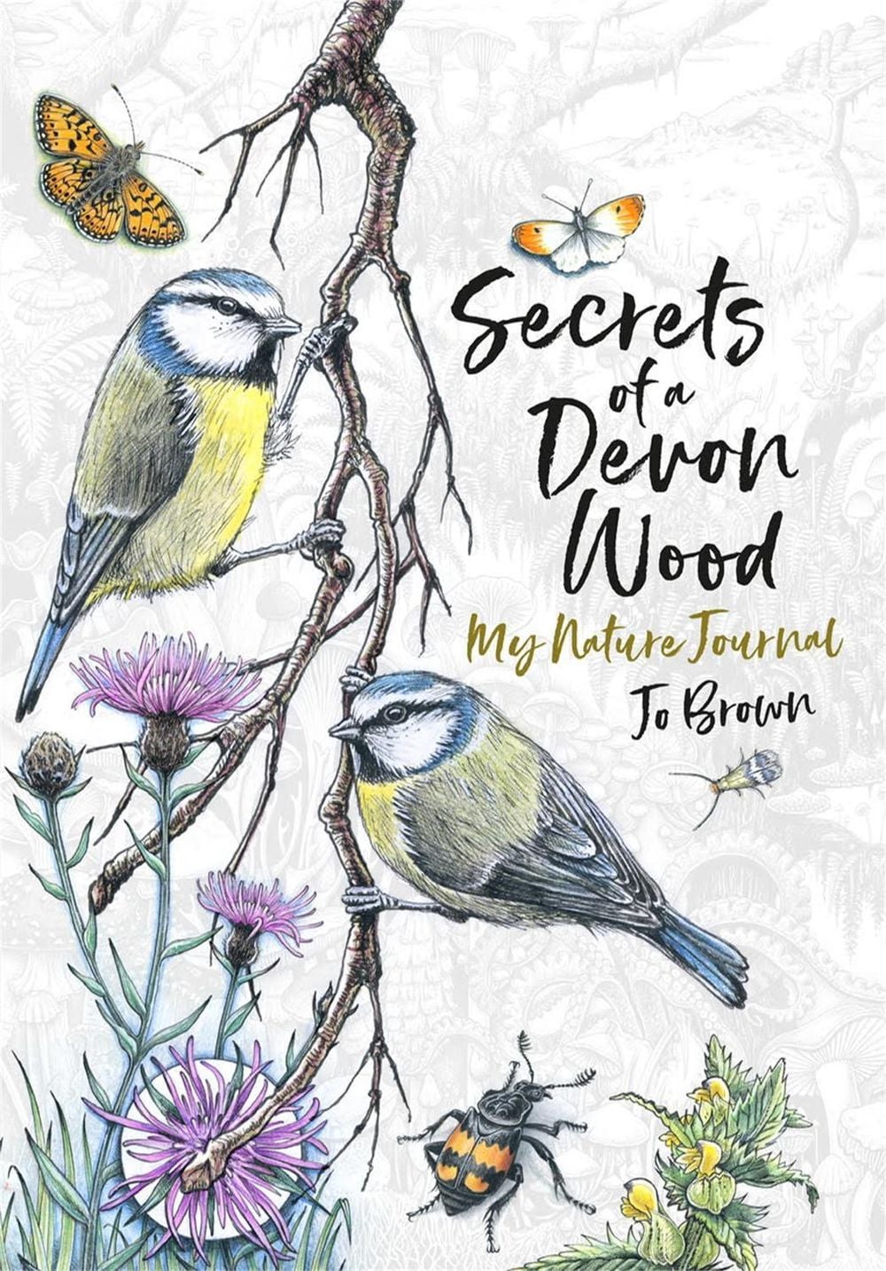 Secrets of a Devon Wood by Jo Brown - ISBN: 9781780724379