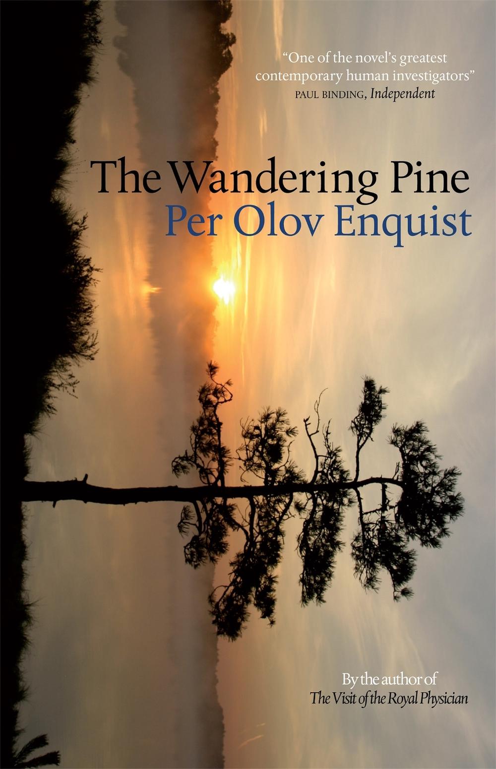 The Wandering Pine by Per Olov Enquist - ISBN: 9781780870199