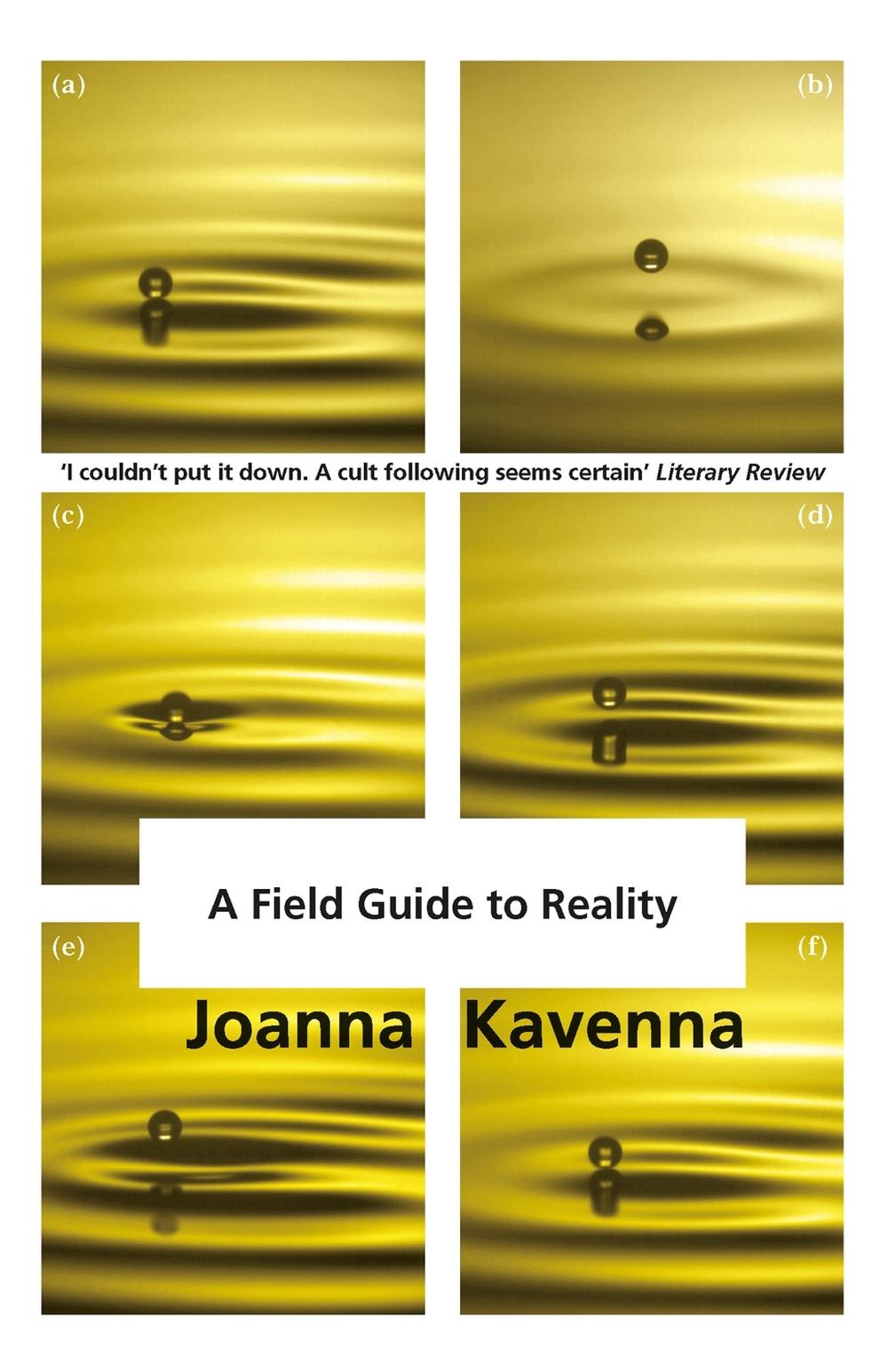 A Field Guide to Reality by Joanna Kavenna - ISBN: 9781780872322