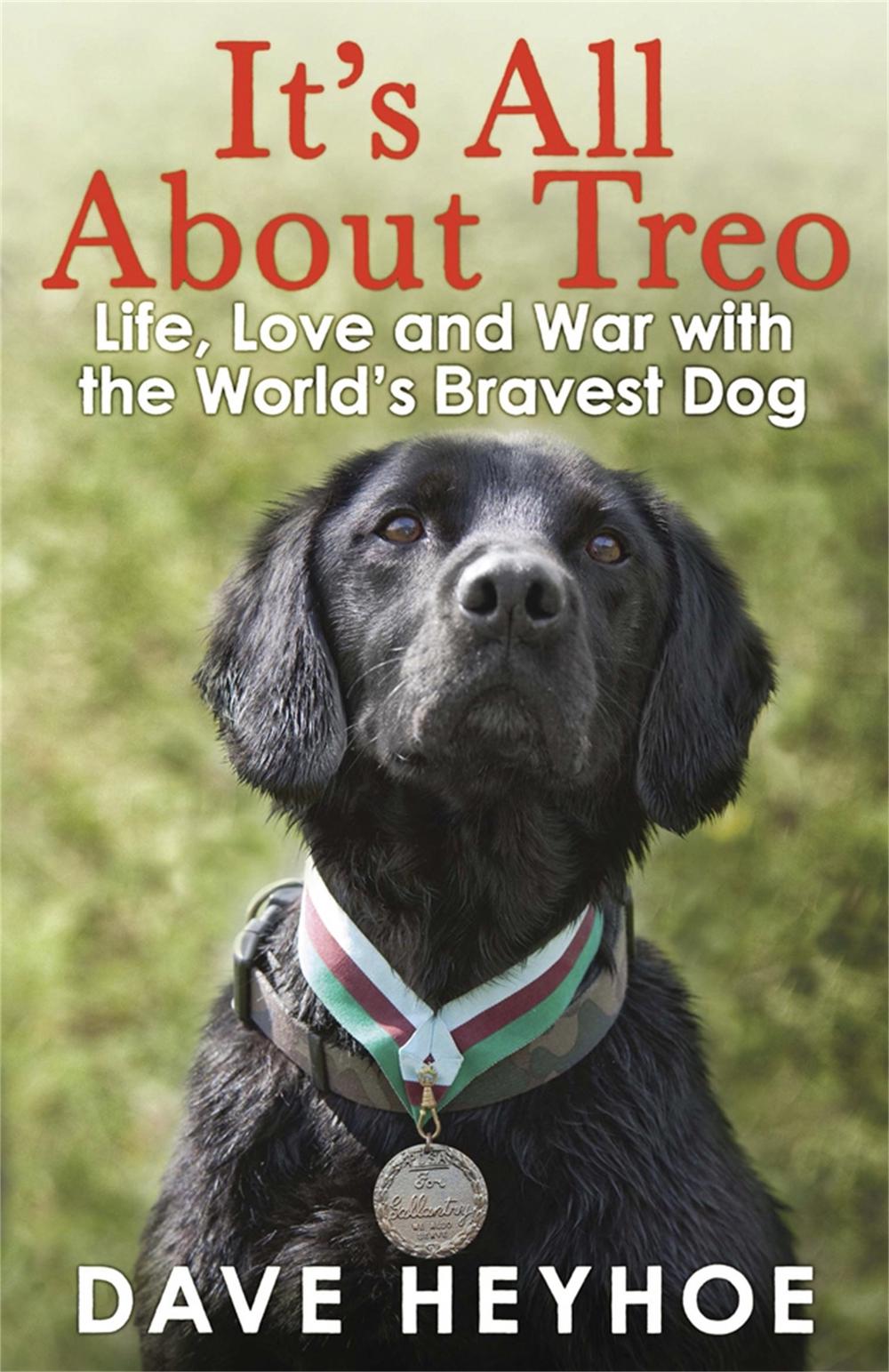 It's All About Treo by Dave Heyhoe - ISBN: 9781780873992