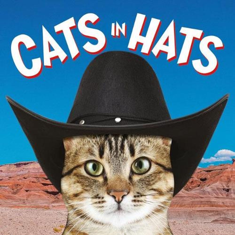 Cats in Hats by Ammonite Press - ISBN: 9781781453476