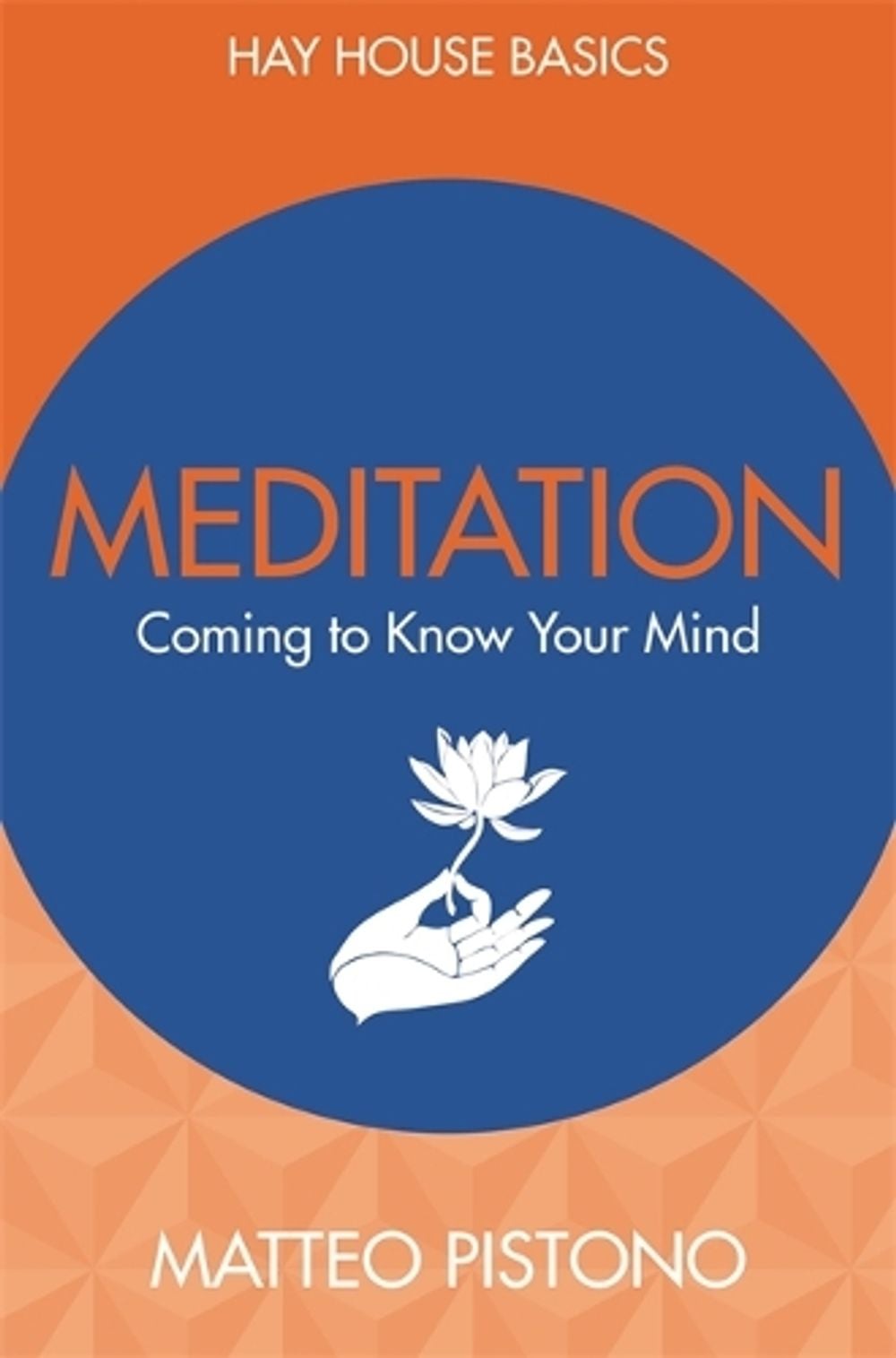 Meditation by Matteo Pistono - ISBN: 9781781808627