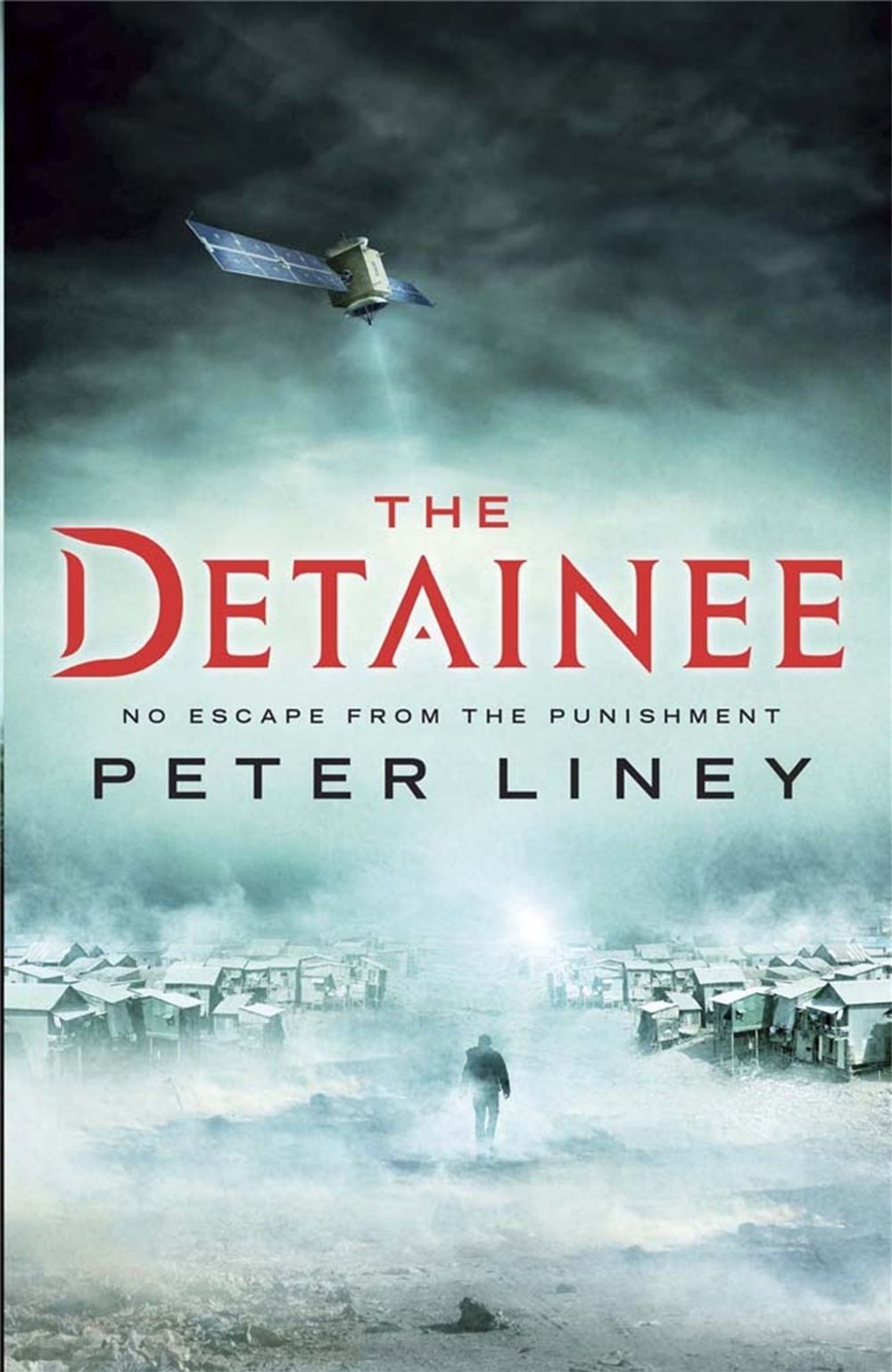 The Detainee by Peter Liney - ISBN: 9781782060352