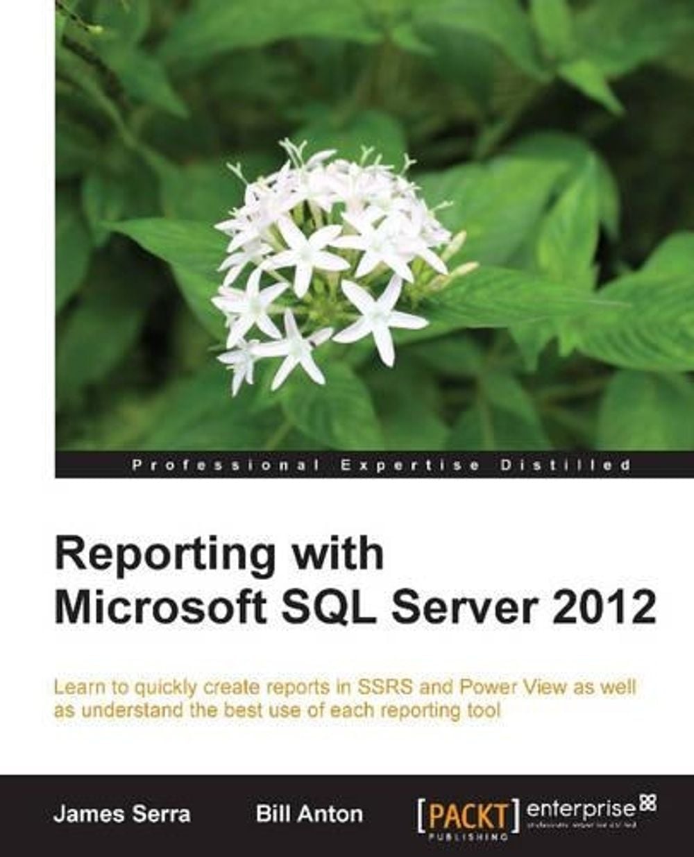 Reporting with Microsoft SQL Server 2012 by James Serra - ISBN: 9781782171720