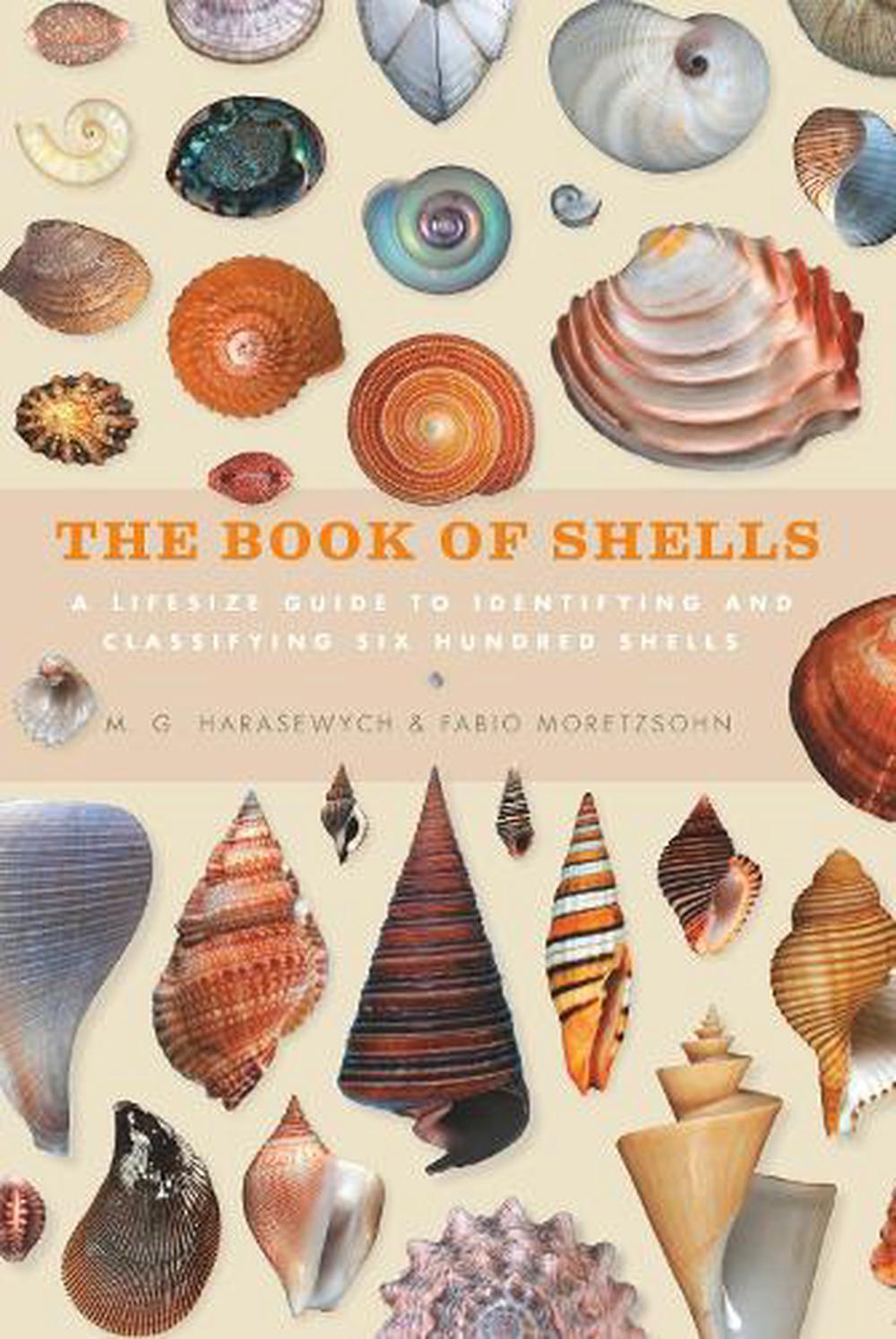 Book Of Shells By Jerry Harawewych Hardcover 9781782403562 Buy