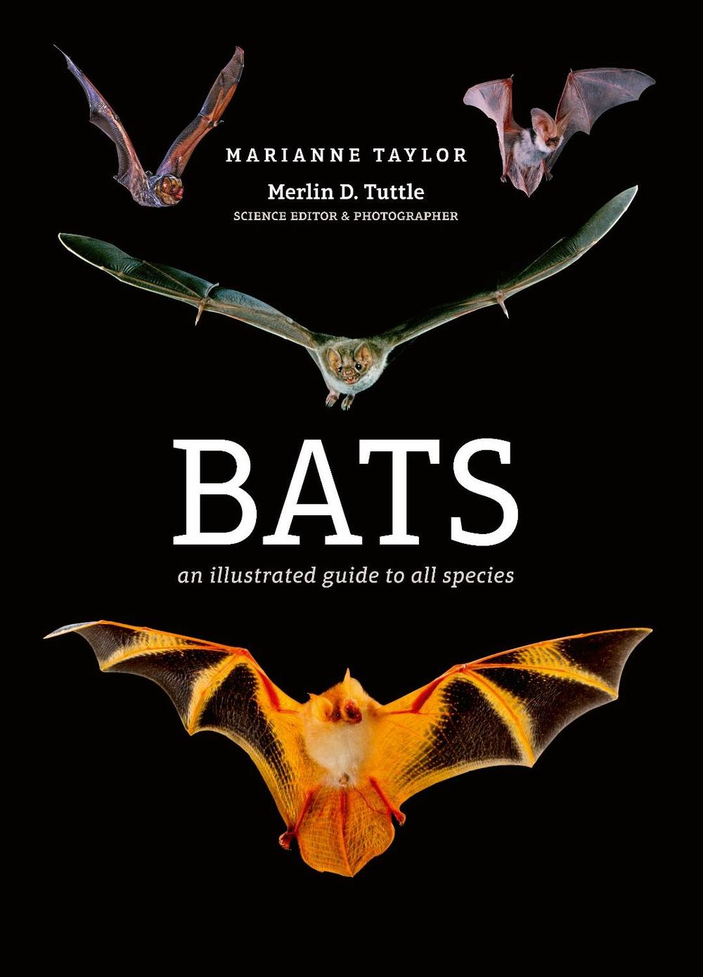 Bats, 9781782405573