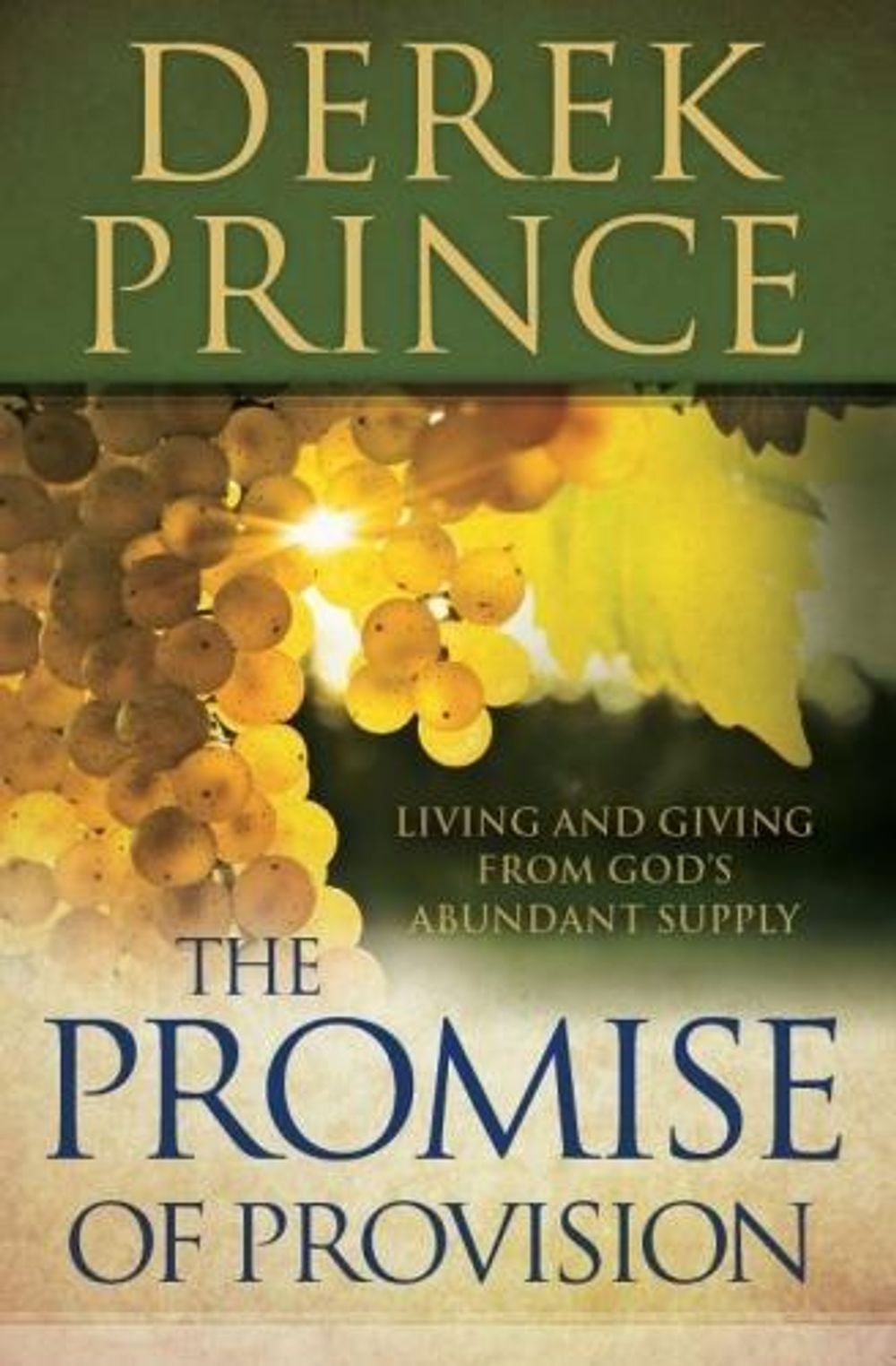 The Promise of Provision by Derek Prince - ISBN: 9781782631705