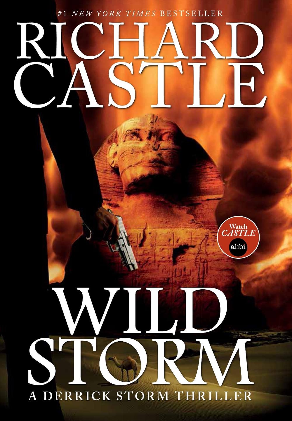 Wild Storm by Richard Castle - ISBN: 9781783294305