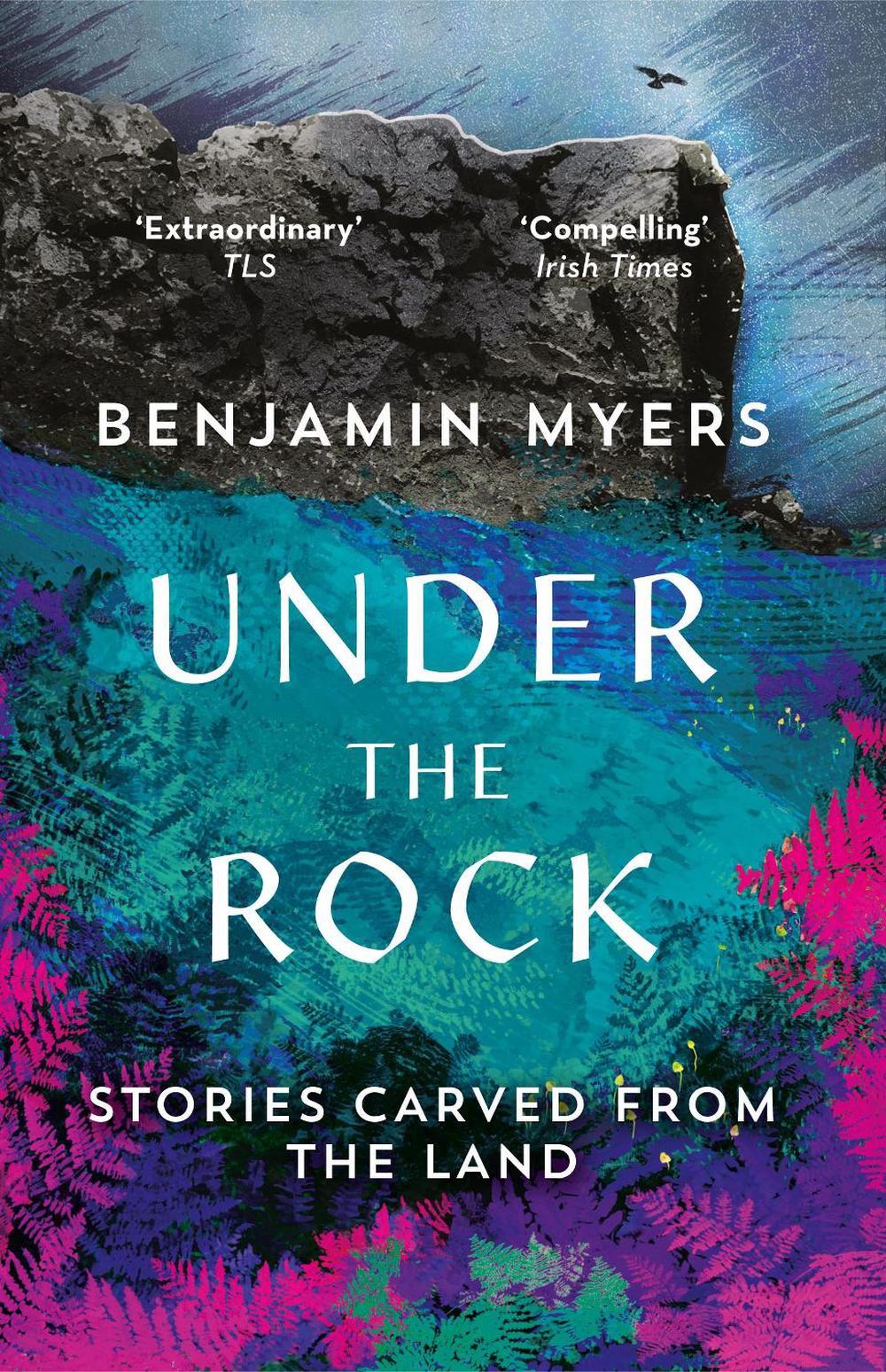 Under the Rock by Benjamin Myers - ISBN: 9781783964369
