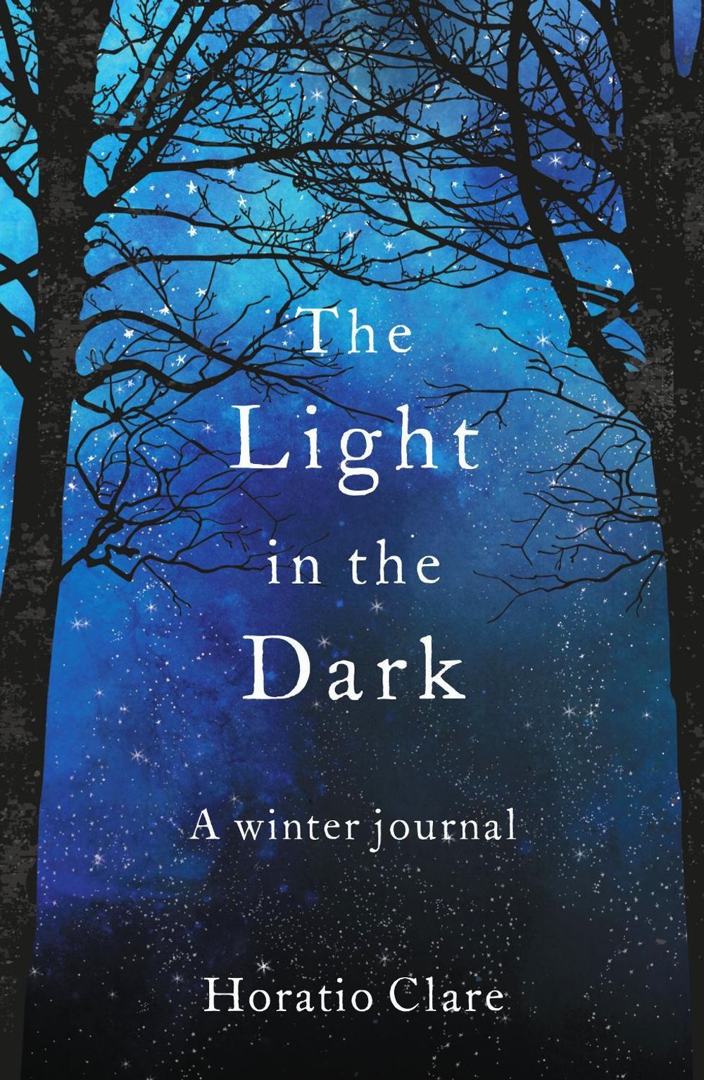 The Light in the Dark by Horatio Clare - ISBN: 9781783964628