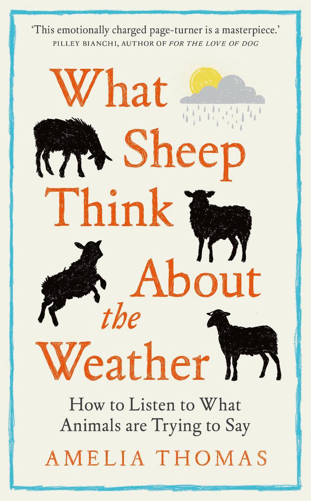 What Sheep Think About the Weather, 9781783969234