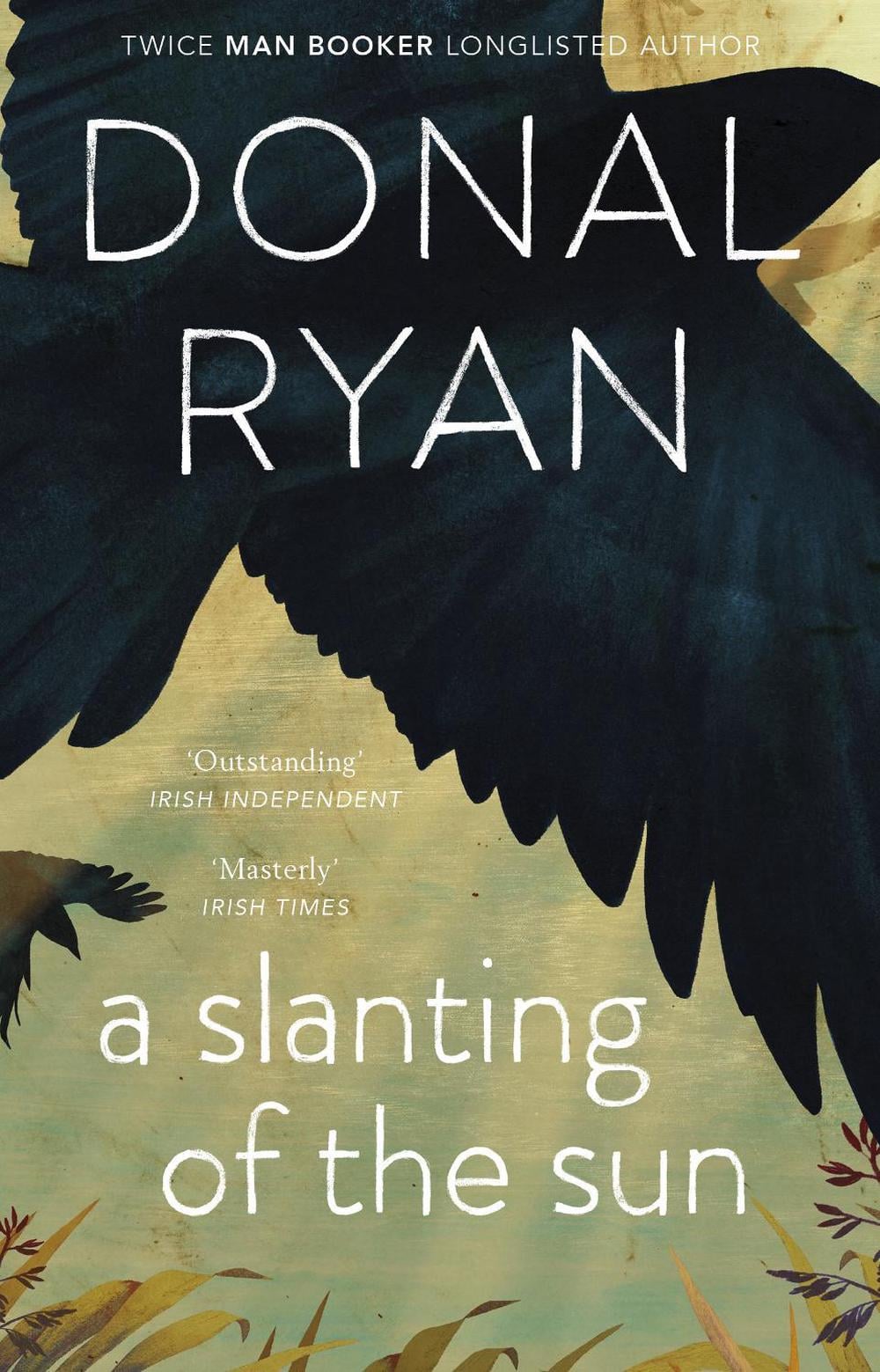 A Slanting of the Sun: Stories by Donal Ryan - ISBN: 9781784160241