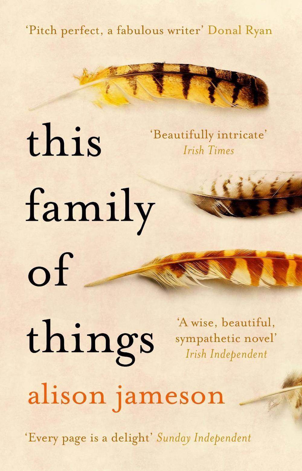 This Family of Things by Alison Jameson - ISBN: 9781784163266