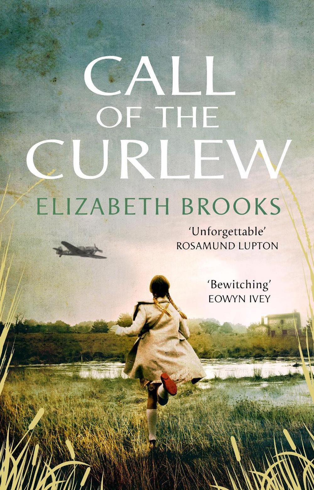 Call of the Curlew by Elizabeth Brooks - ISBN: 9781784163495