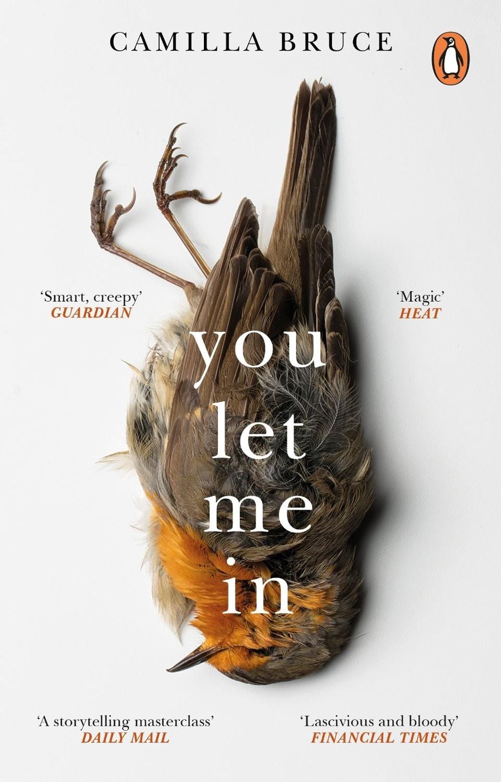 You Let Me In by Camilla Bruce - ISBN: 9781784164508