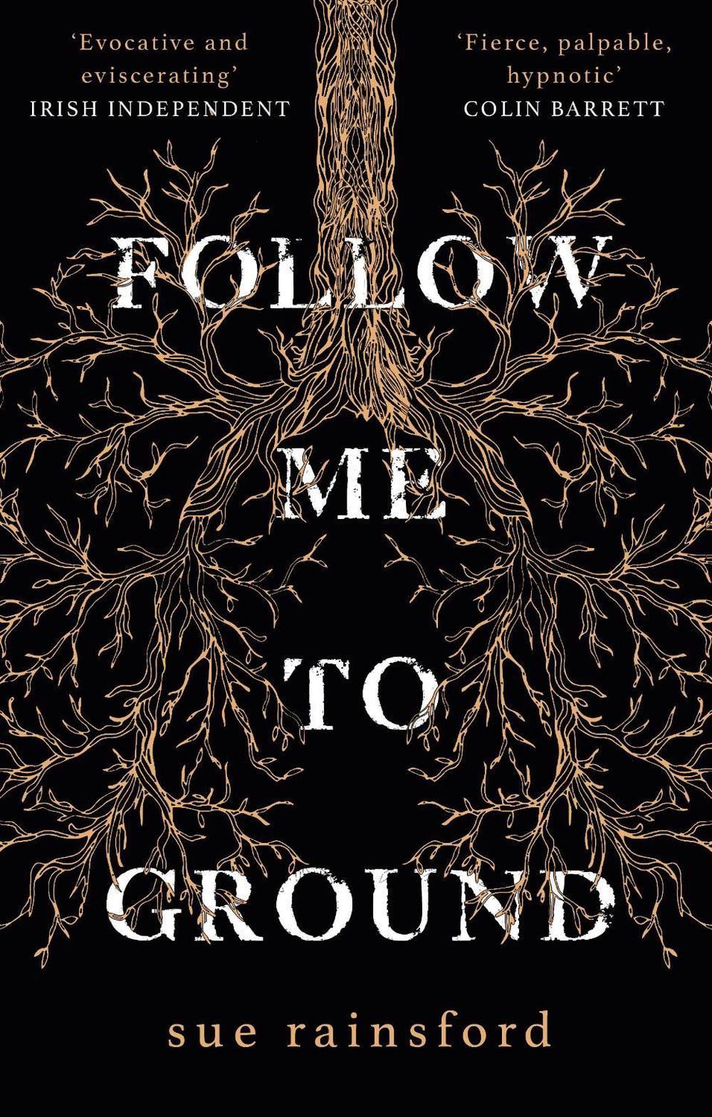 Follow Me To Ground by Sue Rainsford - ISBN: 9781784164942